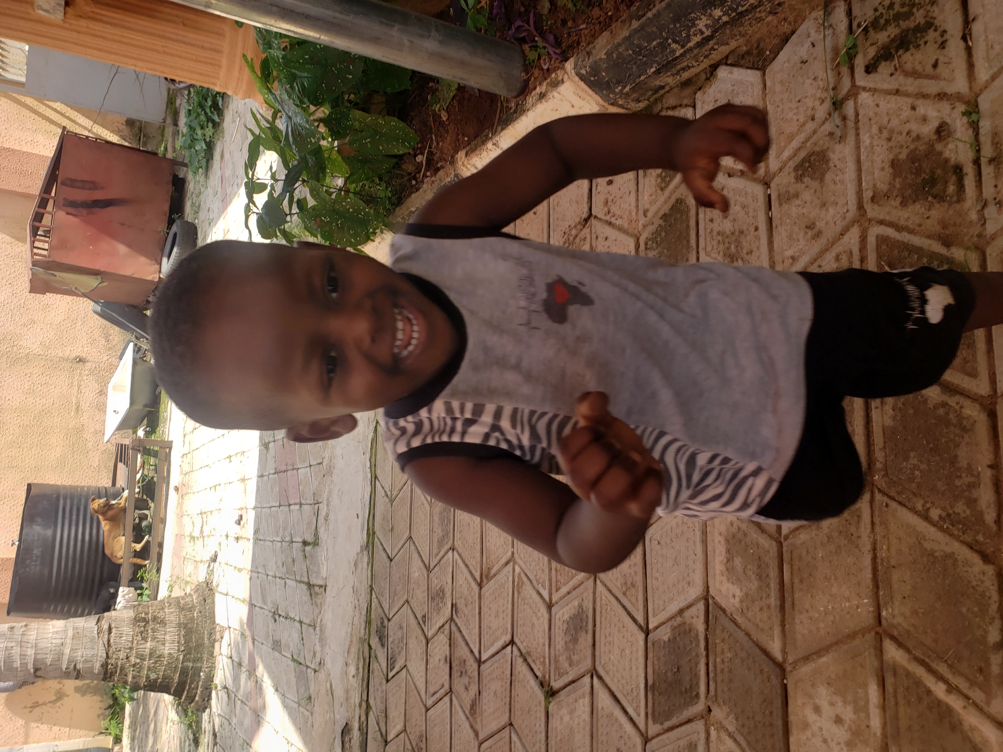 A young boy is captured in a close-up shot, running towards the camera with a wide, joyful smile, revealing his teeth. He is wearing a grey sleeveless shirt with black and white striped accents on the sides and black shorts. The shirt features a small graphic of Africa with a red heart on it. The background suggests an outdoor urban environment in Sabon Tasha, Nigeria, with a paved pathway made of diamond-shaped concrete blocks. To the left, a portion of a palm tree trunk is visible, and further back, a large black water tank is present. A brown dog is seen lying down behind a wooden fence near the water tank. In the mid-ground, to the right of the tank, a rusty metal container on wheels and a white bathtub are visible, along with some green foliage. A thick concrete pillar and a metal pole are also part of the scene, framing the right side of the image. The lighting indicates a sunny day, casting shadows on the paved ground.