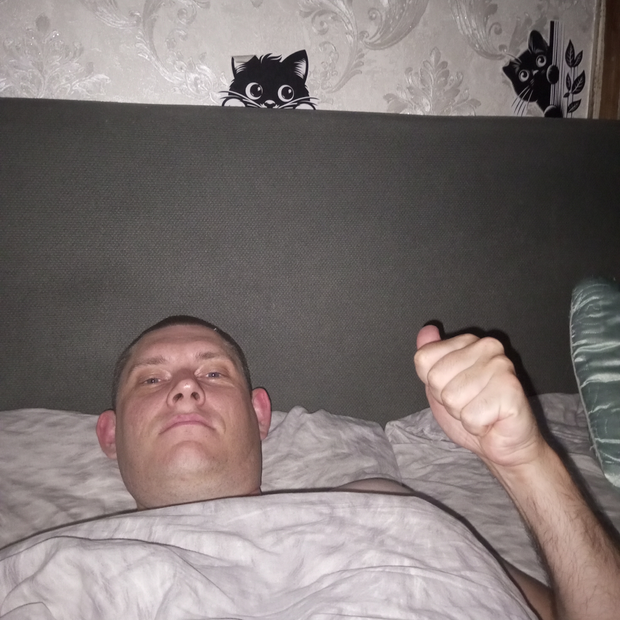A person is lying in bed, with their head and torso visible. They are under a light-colored duvet. The wall behind the bed has patterned wallpaper. There are two black cat decals on the wallpaper, one peeking over the top of the headboard and the other holding onto a plant. The person's right hand is clenched. The scene is indoors, likely a bedroom. The location is not specified.