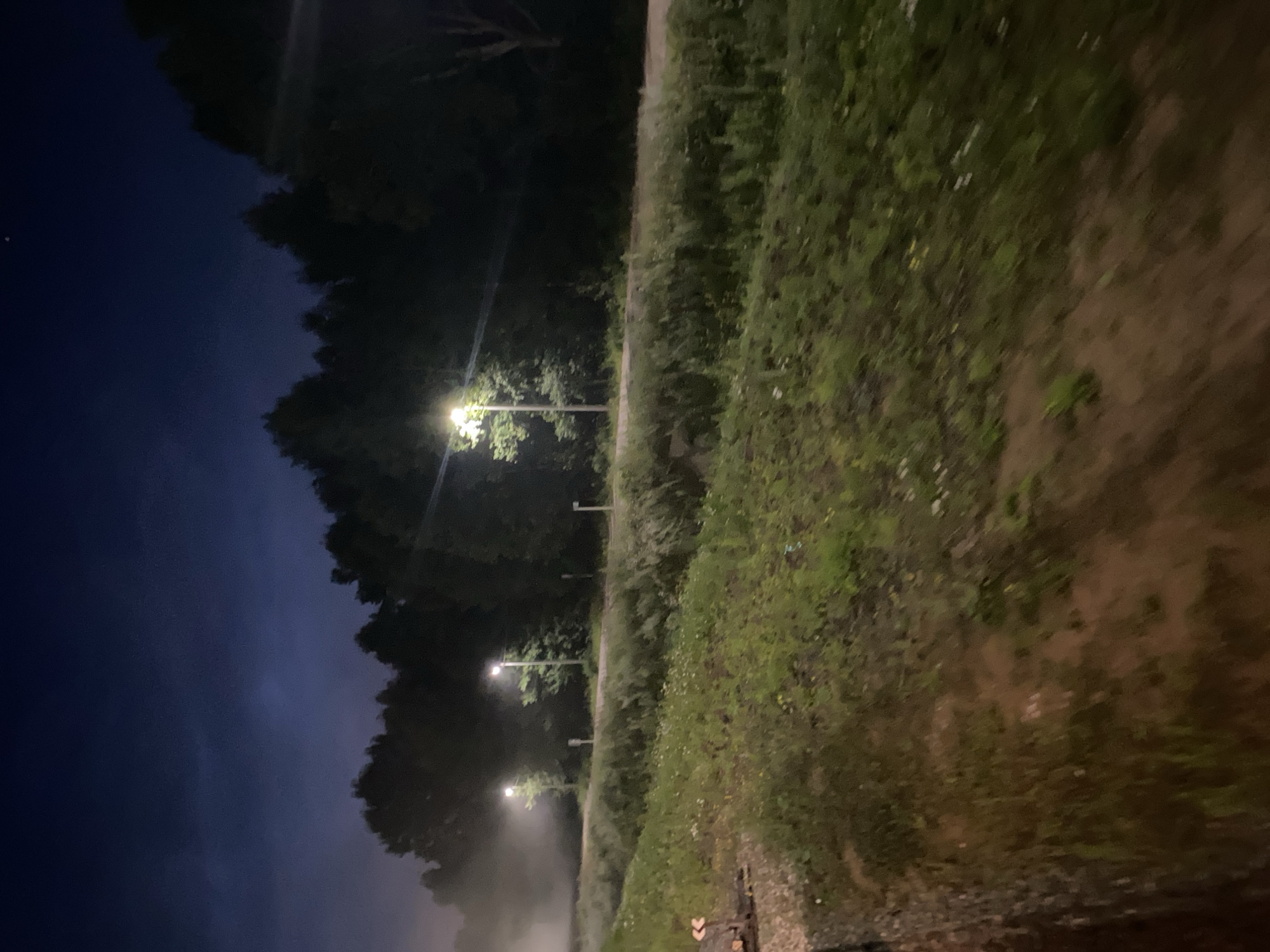 The image depicts a rural or semi-rural scene at night in Kauchuk Stantsiya, Russia. The foreground is dominated by a grassy embankment with some dirt paths and scattered small white flowers. A section of railroad track with a yellow and black marker is visible on the far left. Beyond the embankment, a road or pathway stretches into the distance, lined by several tall, lit streetlamps casting a glow on the surroundings. Dense trees form a dark backdrop to the scene. The sky is dark blue with some faint cloud cover. There are no people or animals visible in the image.