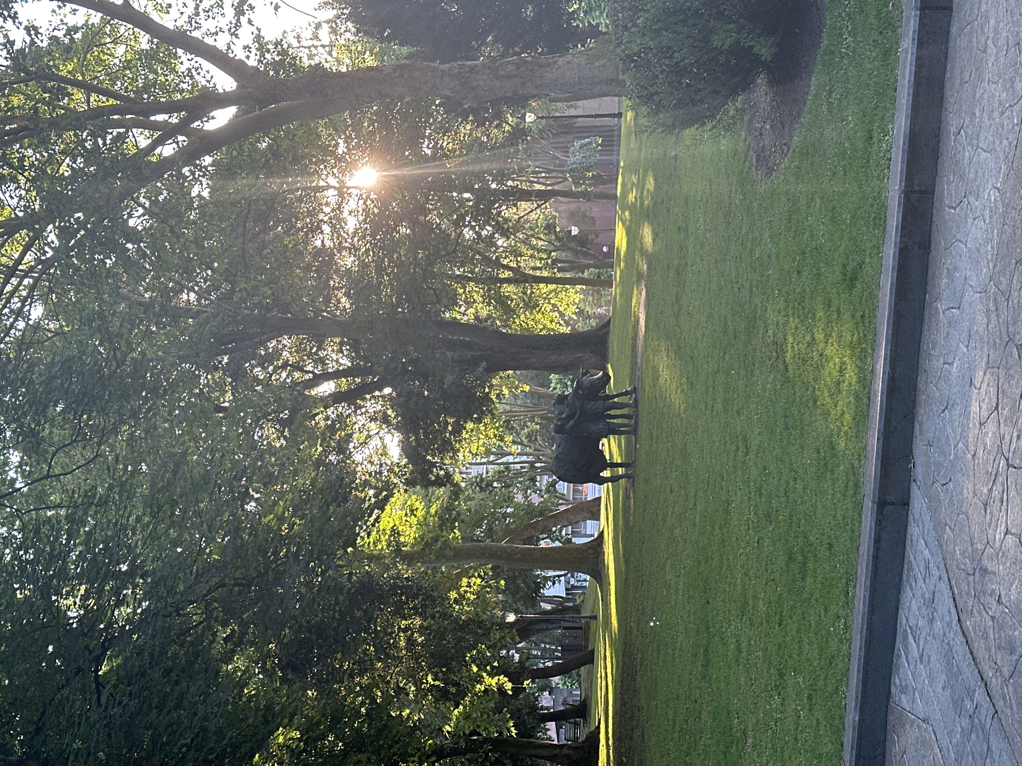 The image captures a sun-dappled park scene in Oviedo, Spain, likely the Campo de San Francisco due to the presence of a statue of a bull being led by two figures, a common motif in Asturian culture and found in this park. The sun shines through the leaves of mature trees, creating a warm glow and casting shadows on the manicured green lawn. In the foreground, a decorative paved walkway borders the grass. A dark bronze sculpture depicting two individuals guiding a bull stands centrally in the mid-ground. Several lampposts are visible throughout the park, and a park bench can be seen in the distance. Buildings are partially visible through the trees in the background. The overall atmosphere is tranquil and bathed in natural light.