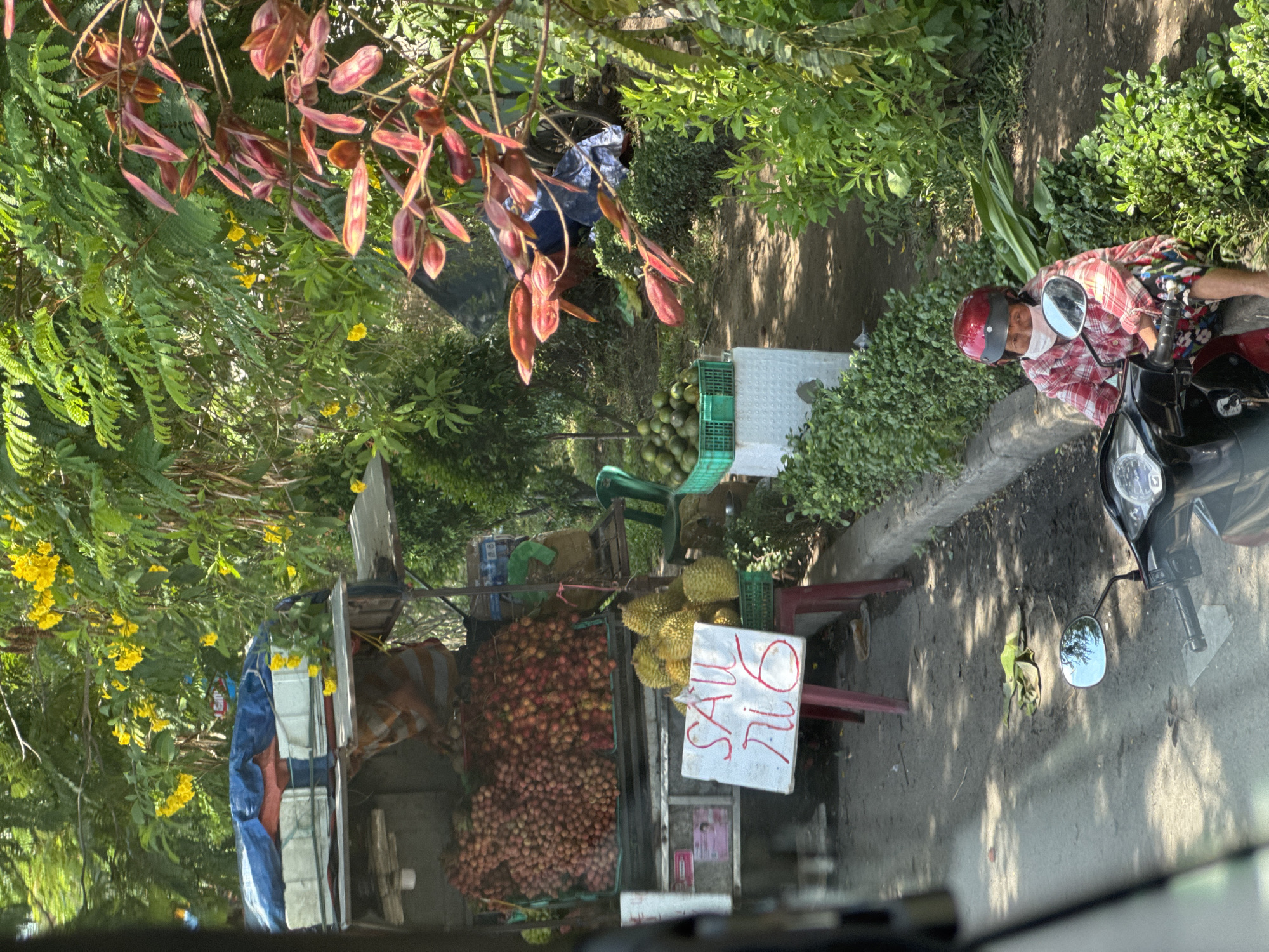 The image depicts a roadside fruit stand in Đà Nẵng, Vietnam, with a vendor on a motorcycle. A large pile of red lychees is visible on a truck, alongside durians. A sign displays "SAU RI 6" in red script. A woman wearing a red helmet and a mask sits on a motorcycle. The environment is lush with green foliage and yellow flowers.