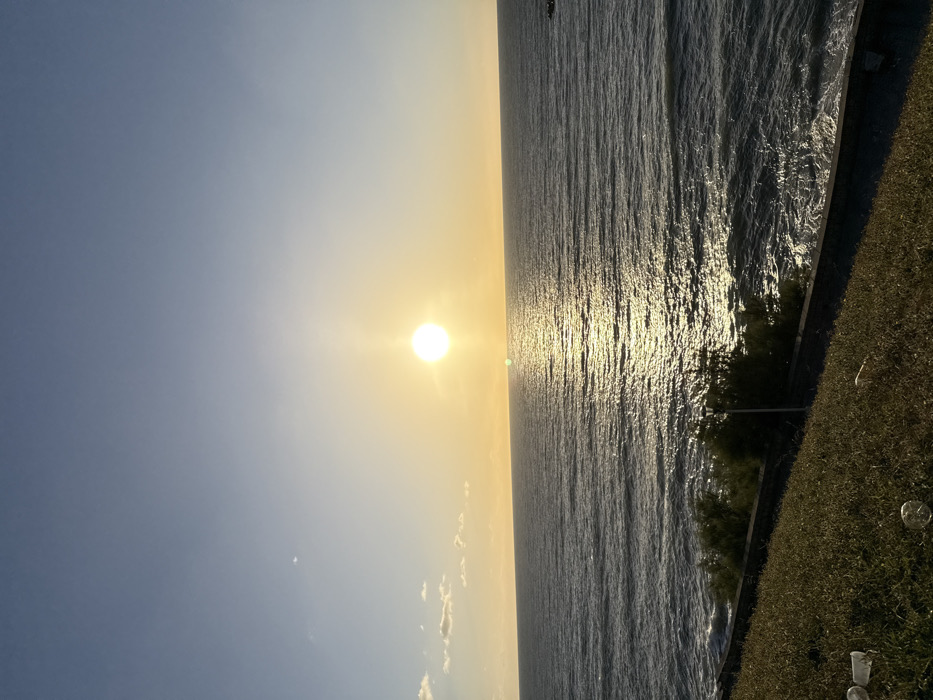 The scene depicts a coastal landscape in Mar del Plata, Argentina, observed at either sunrise or sunset. A bright, circular sun is positioned low on the horizon, slightly right of center, casting a prominent golden reflection path across the dark blue-grey ocean surface. The sky above is gradient, transitioning from clear light blue overhead to warm yellow-orange at the horizon; sparse white clouds are visible in the upper-left quadrant. The immediate foreground features a sloping, dry grassy embankment containing multiple pieces of discarded white plastic refuse. A dark-toned concrete retaining wall traverses the lower-mid section, separating the embankment from a lower tier of dense green foliage. A single black lamppost rises from this lower vegetation layer. Ocean waves are visible breaking against the shoreline below. A small, dark rock formation or breakwater is present on the far right horizon. No individuals are present in the image.