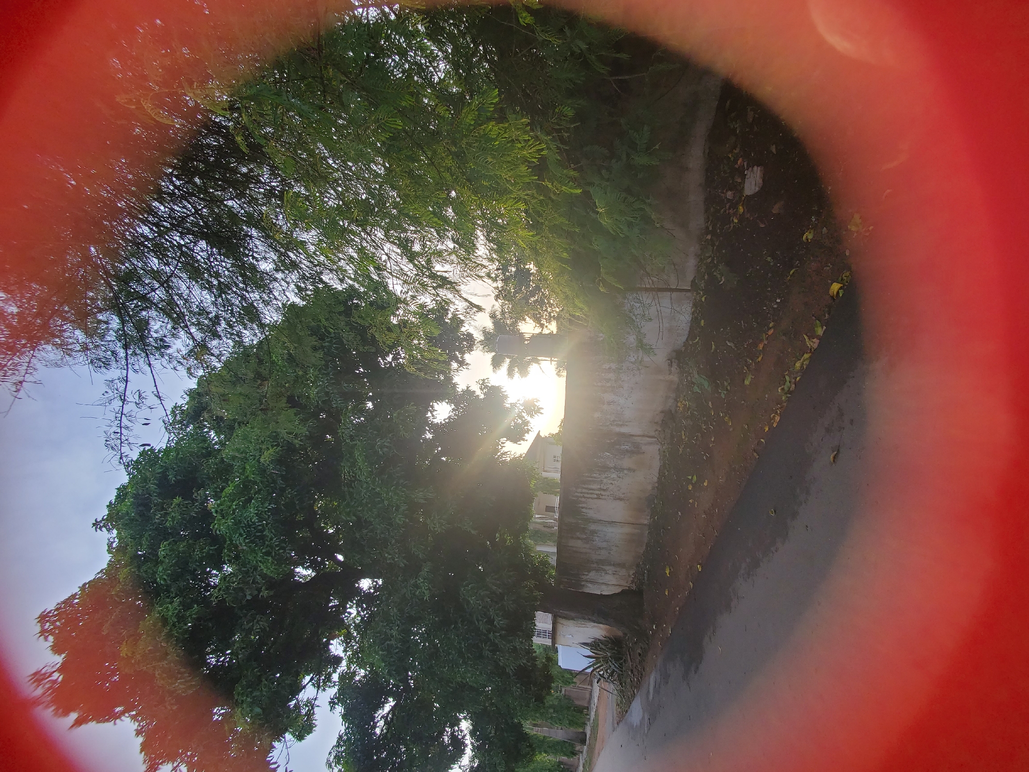 The image captures a street scene framed by a red, circular lens flare, obscuring the edges. In the foreground, a wet asphalt road curves to the left. A concrete wall, aged and somewhat weathered, runs along the right side of the road, partially covered by dirt and fallen leaves. Beyond the wall, lush green trees dominate the landscape, with sunlight filtering through their leaves, creating a dappled effect. One large tree, with a thick trunk, stands prominently near the wall. In the background, glimpses of buildings and palm trees are visible under a hazy sky. The overall impression is one of a quiet, possibly suburban street in Jos, Nigeria, bathed in the soft light of either dawn or dusk.