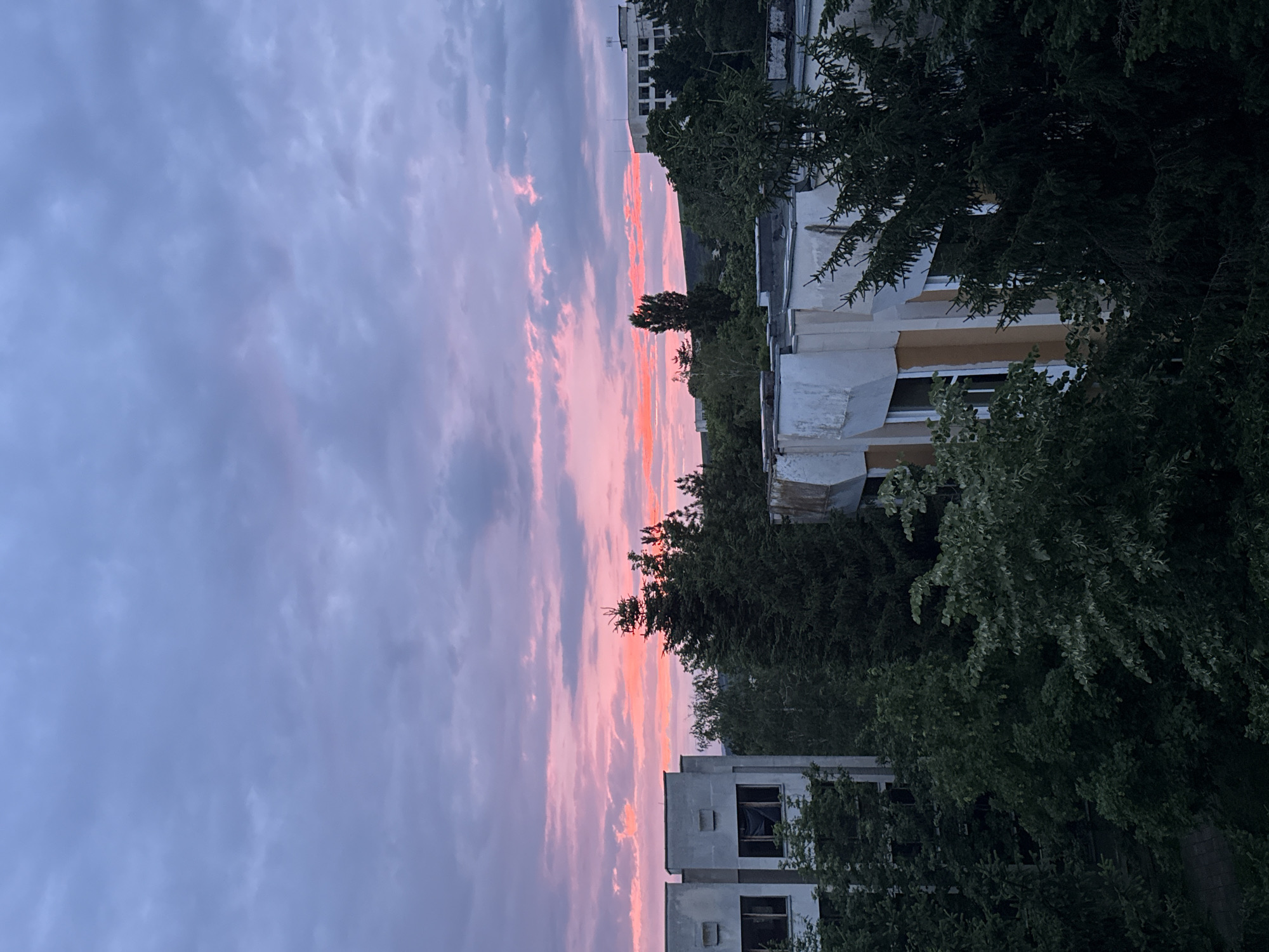 The image captures a dusk scene with a vibrant pink and purple sky illuminating the clouds. In the foreground, the tops of several buildings are visible, some partially obscured by lush green trees. The architecture appears somewhat dated, with concrete facades and visible window frames. The trees are dense and varied, suggesting a natural or overgrown urban environment. The overall impression is one of a quiet, possibly abandoned, urban landscape bathed in the soft light of sunset.