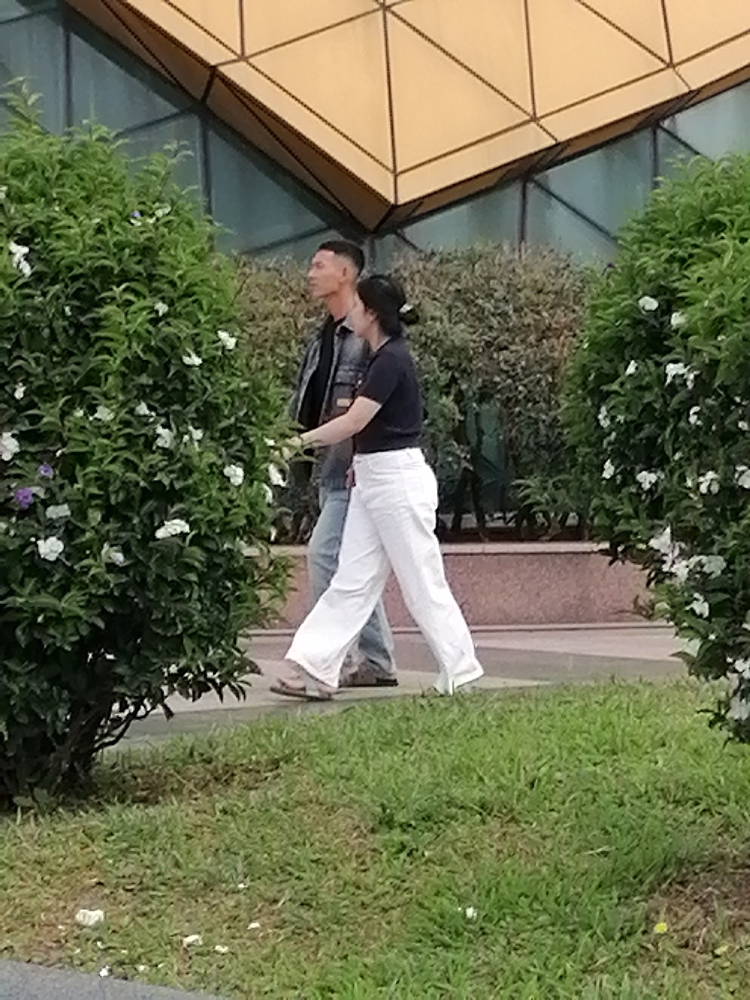 Two individuals, a man and a woman, are walking on a paved pathway outdoors. The man, on the left, wears a dark jacket over a lighter shirt and light blue jeans. He has short, dark hair and is looking to his left. The woman, on the right, is wearing a dark short-sleeved shirt and loose white pants. She has dark hair tied back and is looking forward. They are walking past dense green bushes with white and purple flowers. In the background, a modern building with a geometric, gold-colored roof and glass windows is visible. The ground in the foreground is covered with green grass, some of which appears dry or patchy. The overall scene suggests a public area in Da Lat, Vietnam, possibly a park or the grounds of a building.