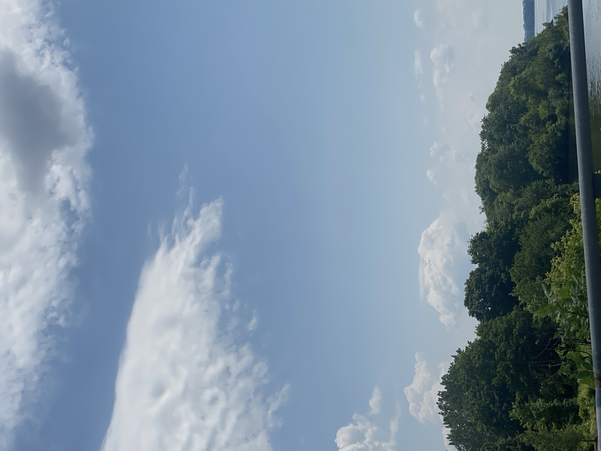 This image captures a scenic view of a tree-lined shoreline and a body of water under a partly cloudy sky. The foreground features a dark, horizontal railing. The middle ground is dominated by a dense growth of lush green trees that extend along the edge of the water. In the background, a calm body of water stretches towards the horizon, where a faint line of distant land can be seen. The sky above is a clear blue, interspersed with scattered white clouds, some of which are large and cumulus-like. The scene appears to be a natural landscape, likely a park or waterfront area. While no specific landmarks identifying the city of Grenville, Canada are visible, the natural elements suggest a location with access to water and significant vegetation.