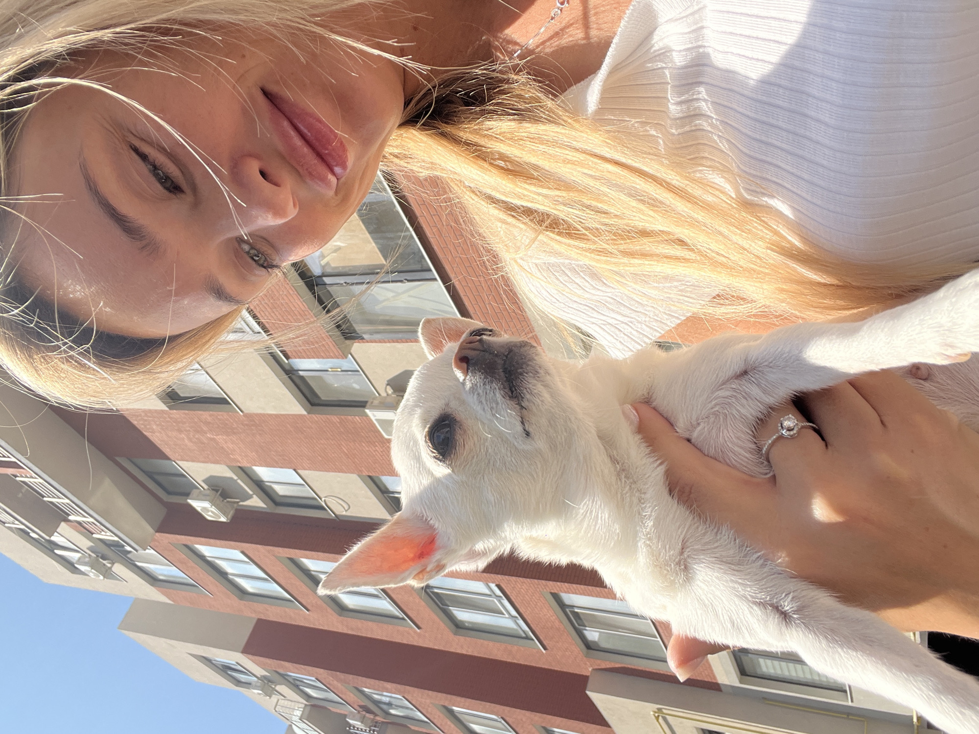 A woman with blonde hair and a white shirt is holding a white chihuahua. The background is a building with red brick and beige siding, likely in Kryzhanivka, Ukraine, with a clear blue sky above. The woman is smiling, and the dog is looking to the side.
