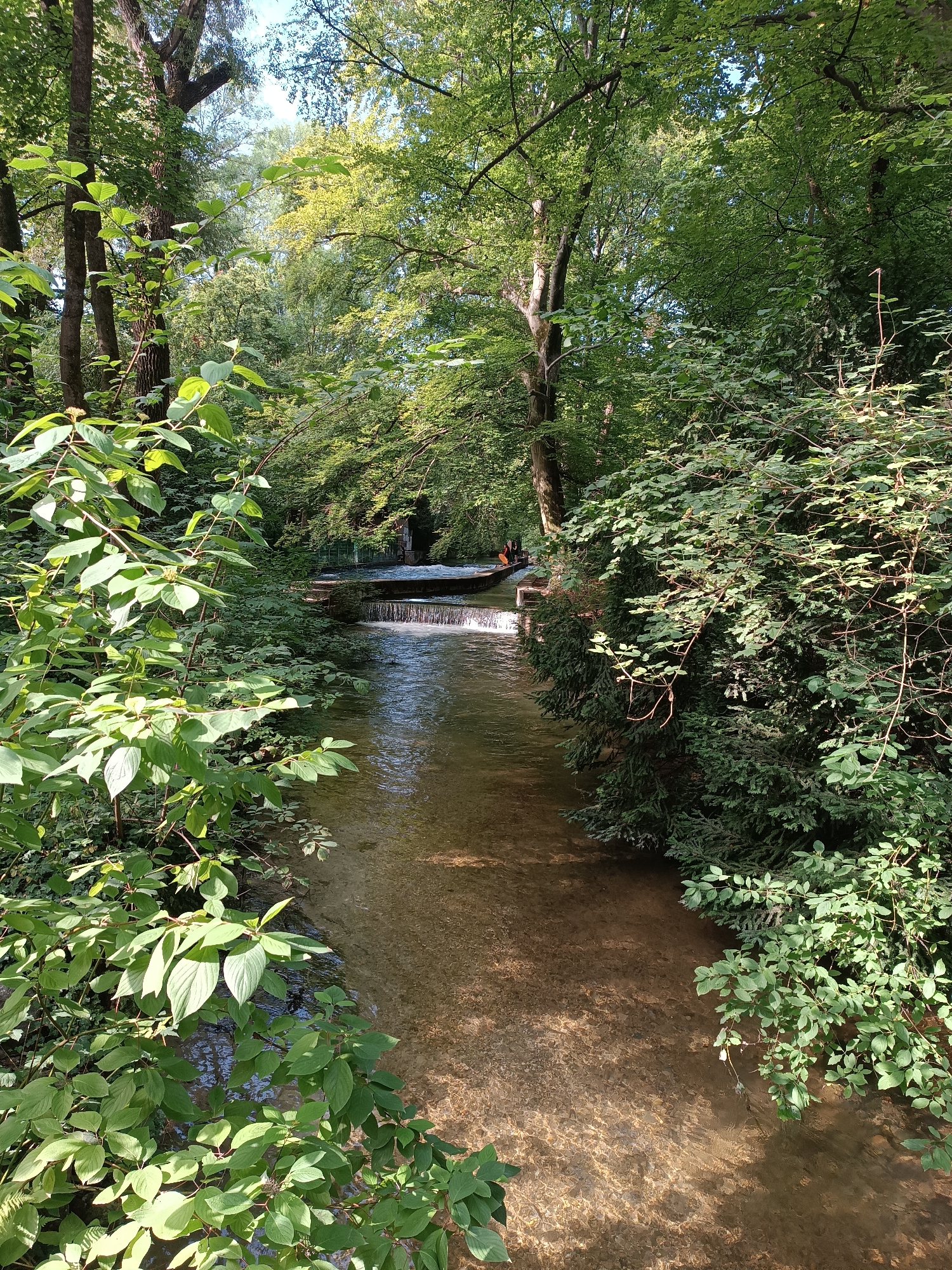 The image depicts the Eisbach wave, a famous artificial wave located in the Englischer Garten in Munich, Germany. A small river flows through a lush, green forest setting, with trees and foliage lining both banks. In the middle ground, an artificial wave is created in the river, with a few people visible on a narrow walkway or bridge near the wave. The water is clear and reflects the surrounding greenery. The sunlight filters through the trees, creating dappled shadows on the water and forest floor. The scene conveys a sense of natural beauty and recreational activity within an urban park.