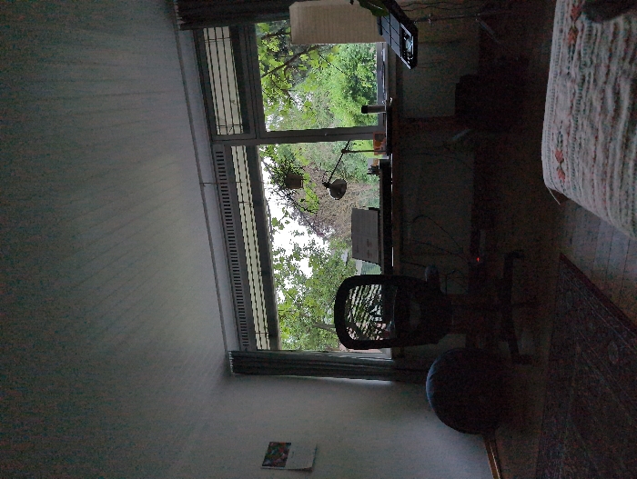 The image shows a room with a window overlooking a tree-filled yard in the city of Lüneburg, Germany. There is a desk with an office chair, a lamp, and a keyboard. There is also a round, dark-colored object near the chair. The room is dimly lit and the window blinds are closed. There is a white, patterned object in the foreground, possibly a blanket or a rug. The view outside the window is predominantly green, with a few darker patches of foliage. The overall scene is one of quiet tranquility and domesticity.