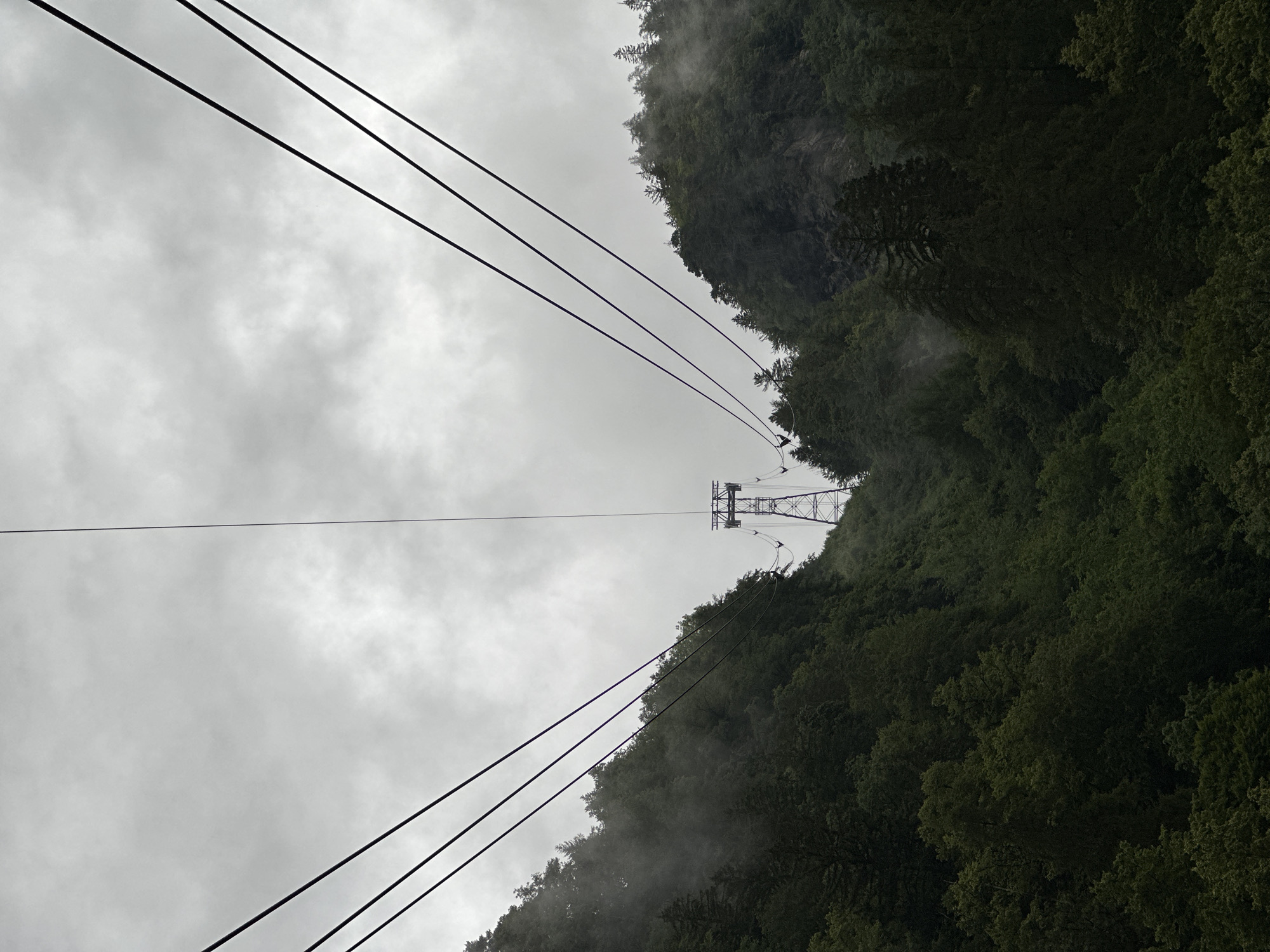 This image depicts a low-angle view of a cable car system ascending a densely forested mountain under a cloudy sky. The cable car's support towers are visible in the distance, one prominent tower with a lattice structure standing on the mountainside. Several thick cables extend from the foreground, converging towards the tower, suggesting the direction of travel. The mountains are covered in a thick canopy of dark green coniferous and deciduous trees. Patches of mist or fog are visible clinging to the trees on the slopes, particularly on the left side of the frame. The overall atmosphere is somber and natural. The location is identified as being in Hüsen, Switzerland.