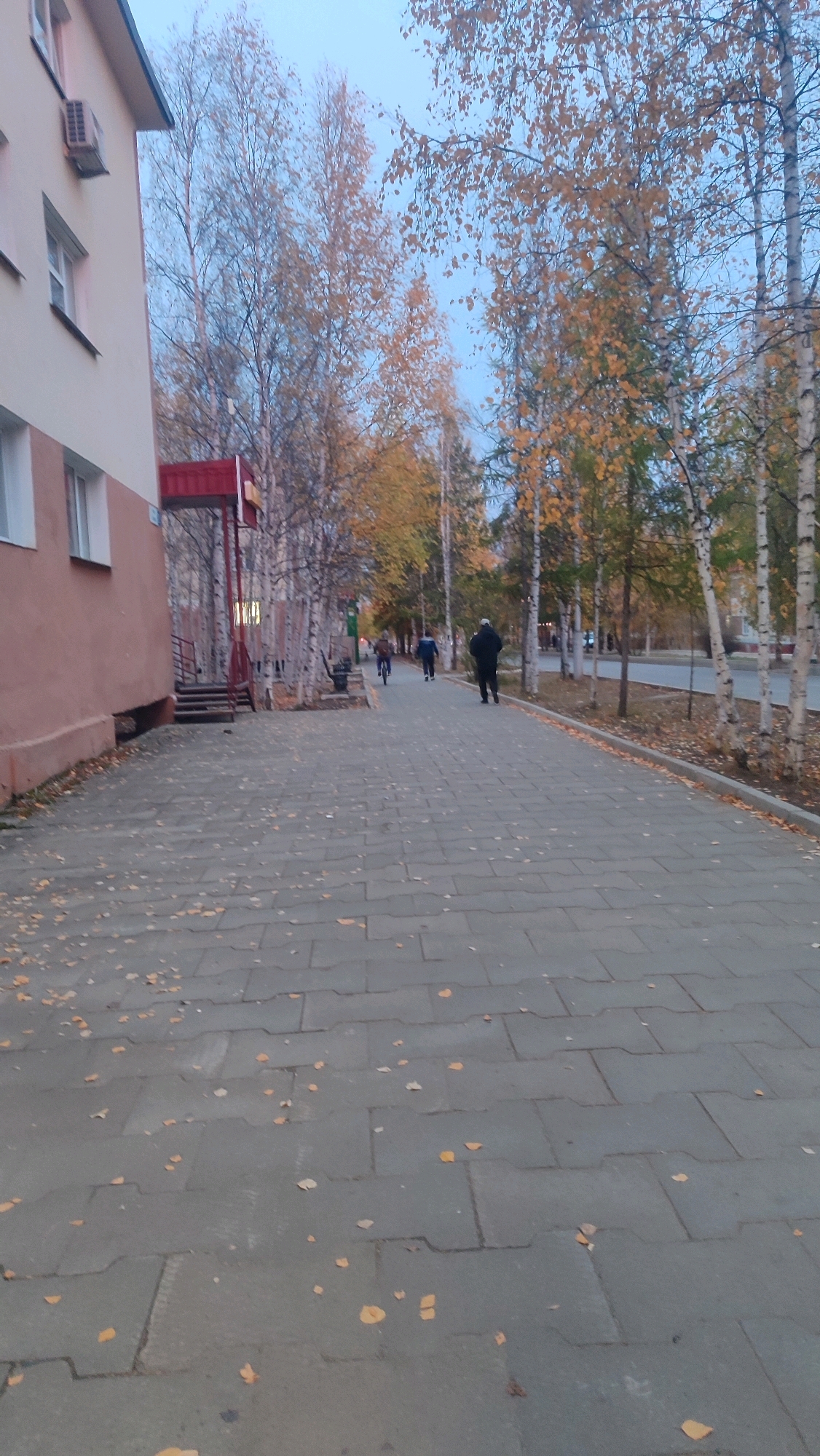 This is a vertical, eye-level, outdoor shot of a sidewalk in Mirny, Russia during autumn. The sidewalk is paved with gray interlocking concrete slabs and scattered with fallen yellow leaves. To the left, a portion of a light-pink, two-story building is visible, featuring white-framed windows and an outdoor air conditioning unit. Adjacent to the building is a red entrance canopy with stairs leading up to it.
A row of trees with thin, light-colored trunks and yellowing foliage lines the sidewalk on the right. The trees' leaves are mostly fallen or in the process of changing color, indicative of the autumn season. Beyond the trees, a paved road is visible with some parked cars and more trees.
Several individuals are present on the sidewalk and road. On the sidewalk, a person in a dark jacket is walking away from the camera. Further ahead, two individuals are walking towards the camera, one in a dark blue jacket and another in a brown jacket, with one of them appearing to be on a bicycle. In the distance, more people can be seen walking and a vehicle is driving on the road. The sky is a pale, hazy blue, suggesting either early morning or late afternoon. The overall impression is a quiet, everyday scene in a residential area of Mirny during fall.