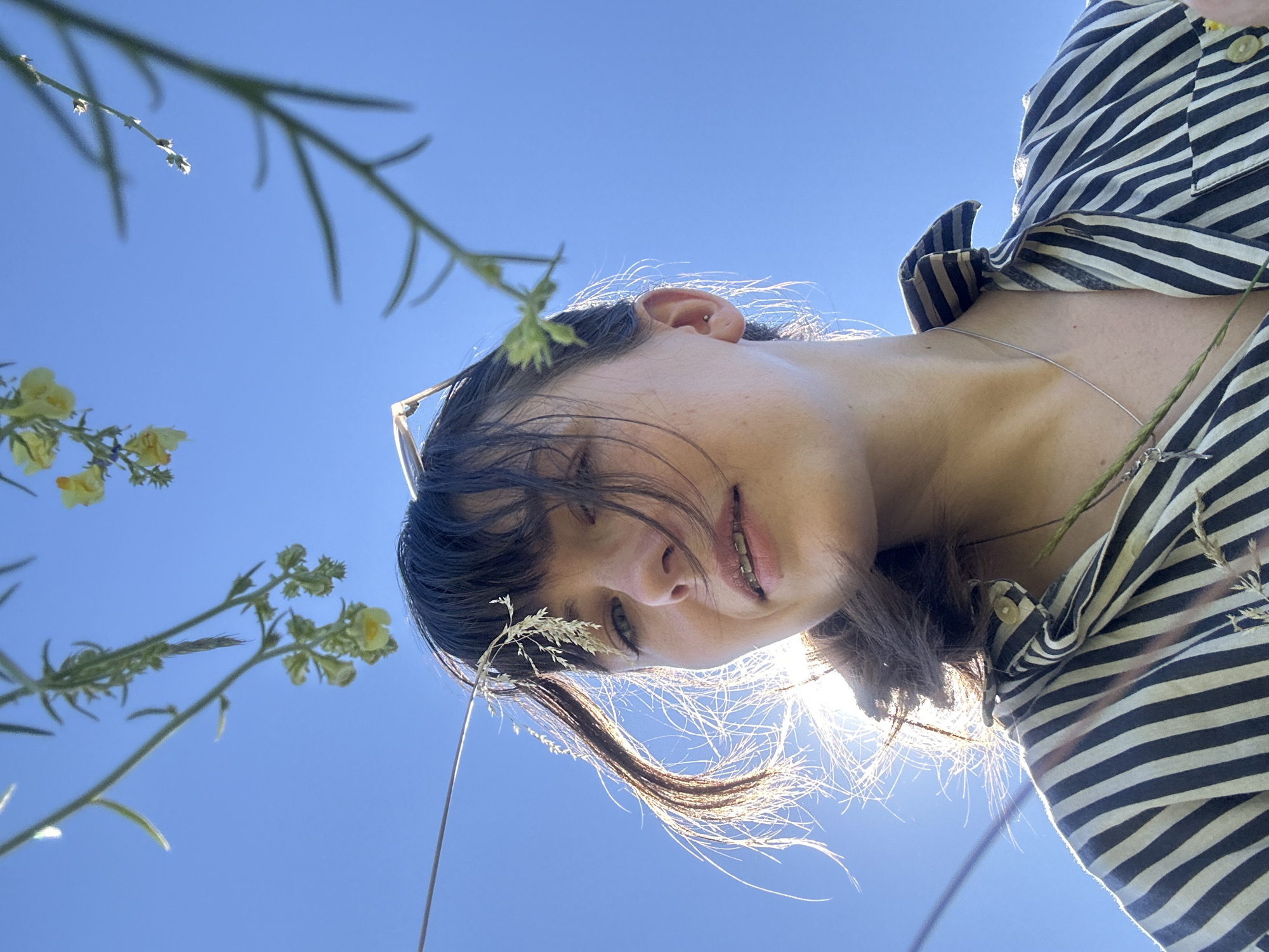 A low-angle, medium shot captures a young woman outdoors against a bright blue sky, with thin branches and small yellow flowers in the foreground, framing her face. She is looking directly at the camera with a slight smile and visible braces. Her dark hair is windswept, with some strands falling across her face, and a piece of dried grass is tucked into her bangs. She is wearing a dark and light striped button-up shirt, and a thin silver necklace. The sun is behind her, creating a backlight effect that highlights her hair and shoulders. The image appears to have been taken in a natural setting.