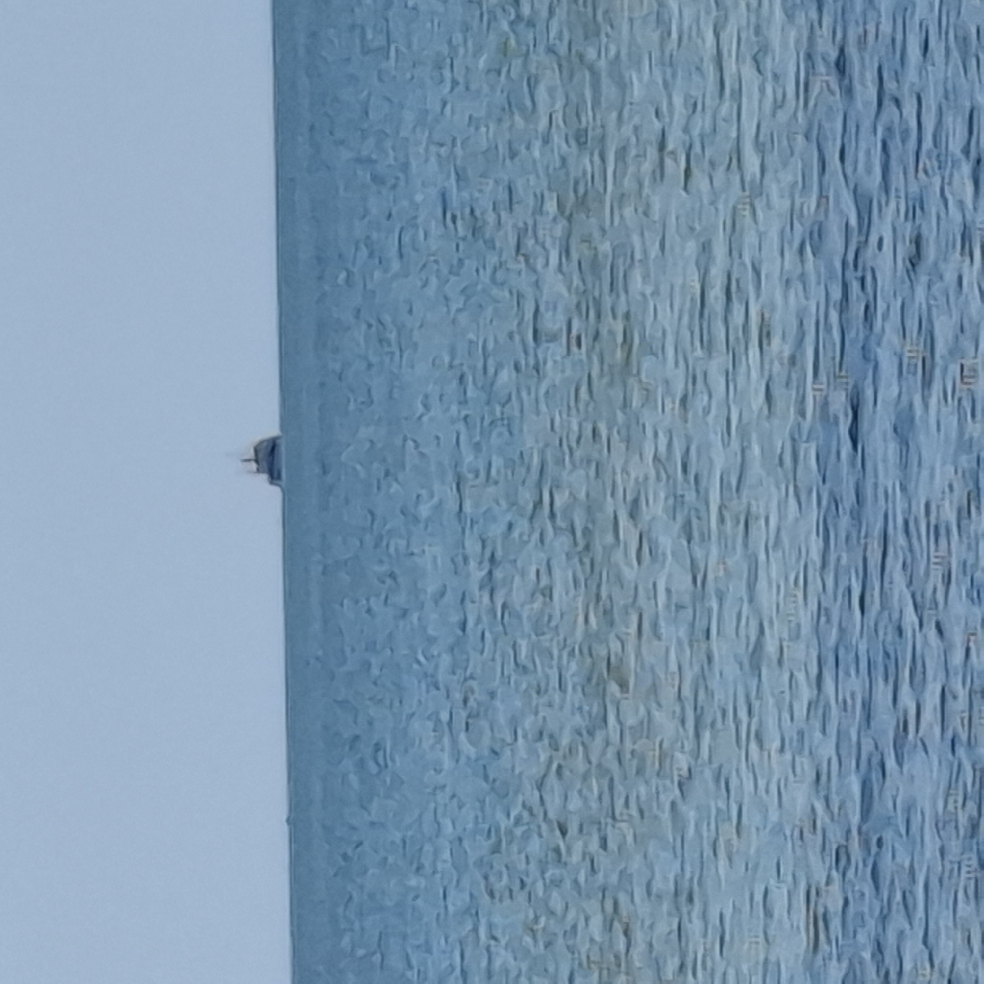 A small, dark object is attached to the side of a light blue vertical panel. The panel has a textured surface consisting of irregular, elongated shapes. The left side of the panel borders a light blue space. The location is not identifiable.