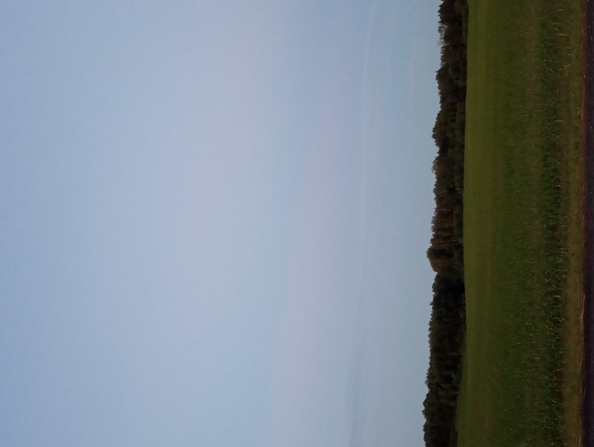 The image depicts an outdoor scene at dusk. A vast, pale blue sky occupies the upper portion of the frame. Below the sky, a dark, dense line of trees stretches across the horizon. In the foreground, a broad, green field extends from the tree line to the bottom of the image. A dark, narrow strip, possibly a road or path, runs along the very bottom edge of the field. The scene appears to be located in a rural or semi-rural area, consistent with the environment of Палыкавіцкі сельскі Савет, Belarus. There are no people or discernible actions captured in the photograph.