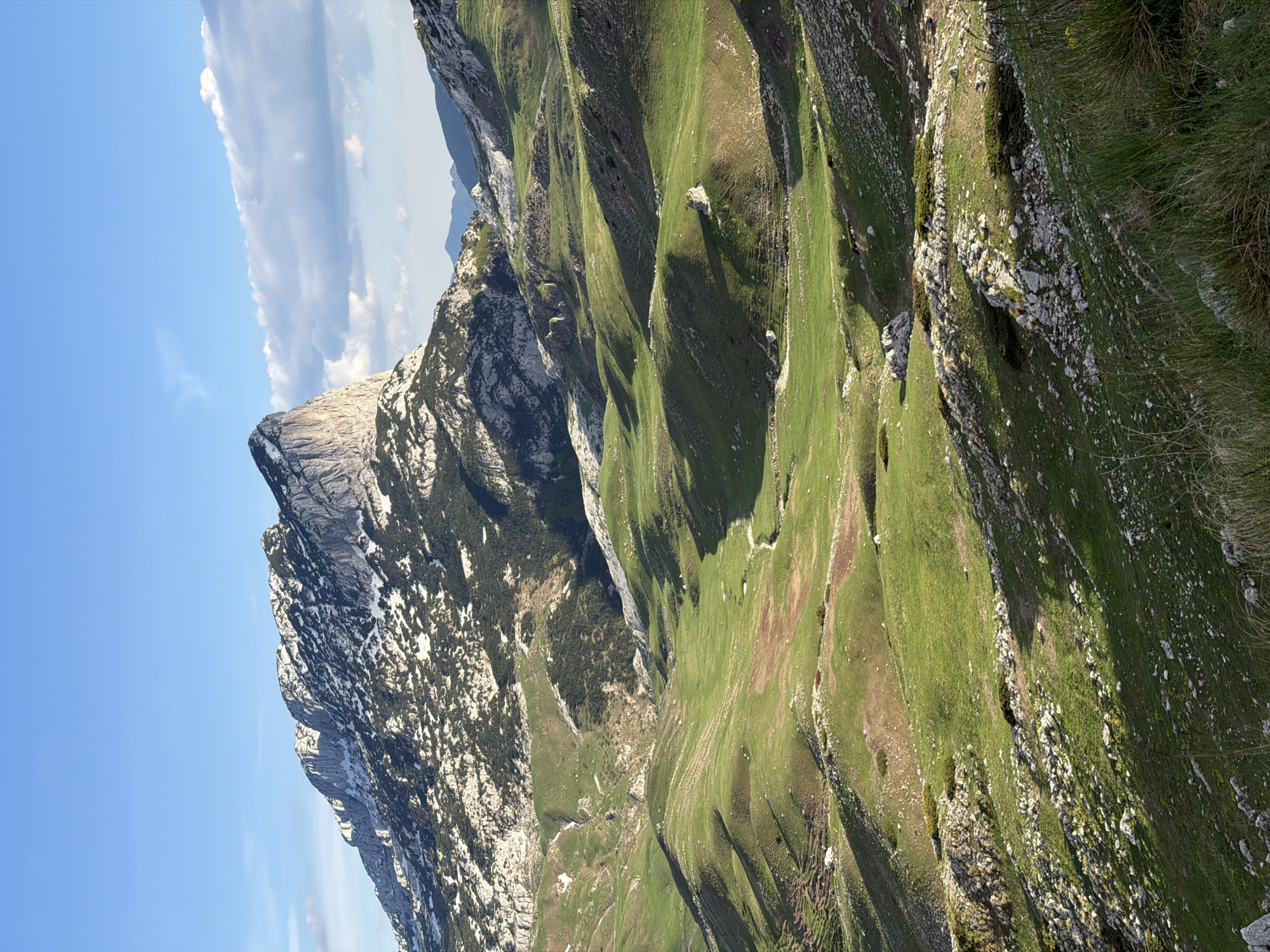 The image depicts a mountain landscape under a partly cloudy, blue sky, likely in the region of Montenegro, although the precise location remains unknown. A rugged, light grey mountain peak dominates the left side of the frame, with visible rock formations and sparse vegetation. To the right, a series of rolling, grass-covered hills extend into the distance, marked by linear patterns suggesting valleys or geological formations. Patches of denser vegetation and rocky outcrops dot the hillsides. The scene appears to be captured from an elevated vantage point.