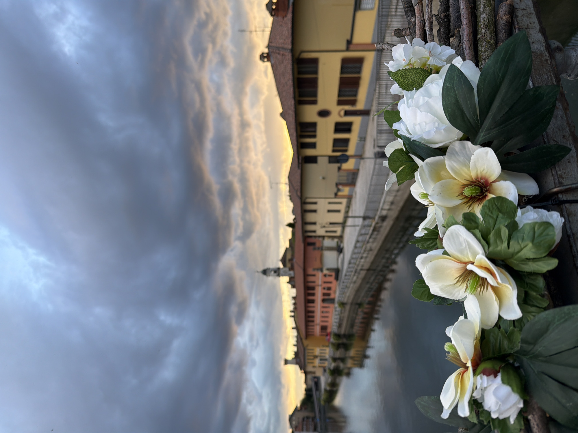 The photograph shows a scene from the city of Bonirola, Italy. A bridge spans a river, with buildings lining the riverbank. The buildings are multi-colored, including yellow and orange, with windows and architectural details. A church steeple is visible among the buildings. The sky is cloudy with hints of sunset colors. In the foreground, there are white and cream-colored flowers with green leaves attached to a natural branch railing or fence. The composition is vertical, with the flowers and railing at the right side of the image. The reflection of the buildings is visible on the river surface.