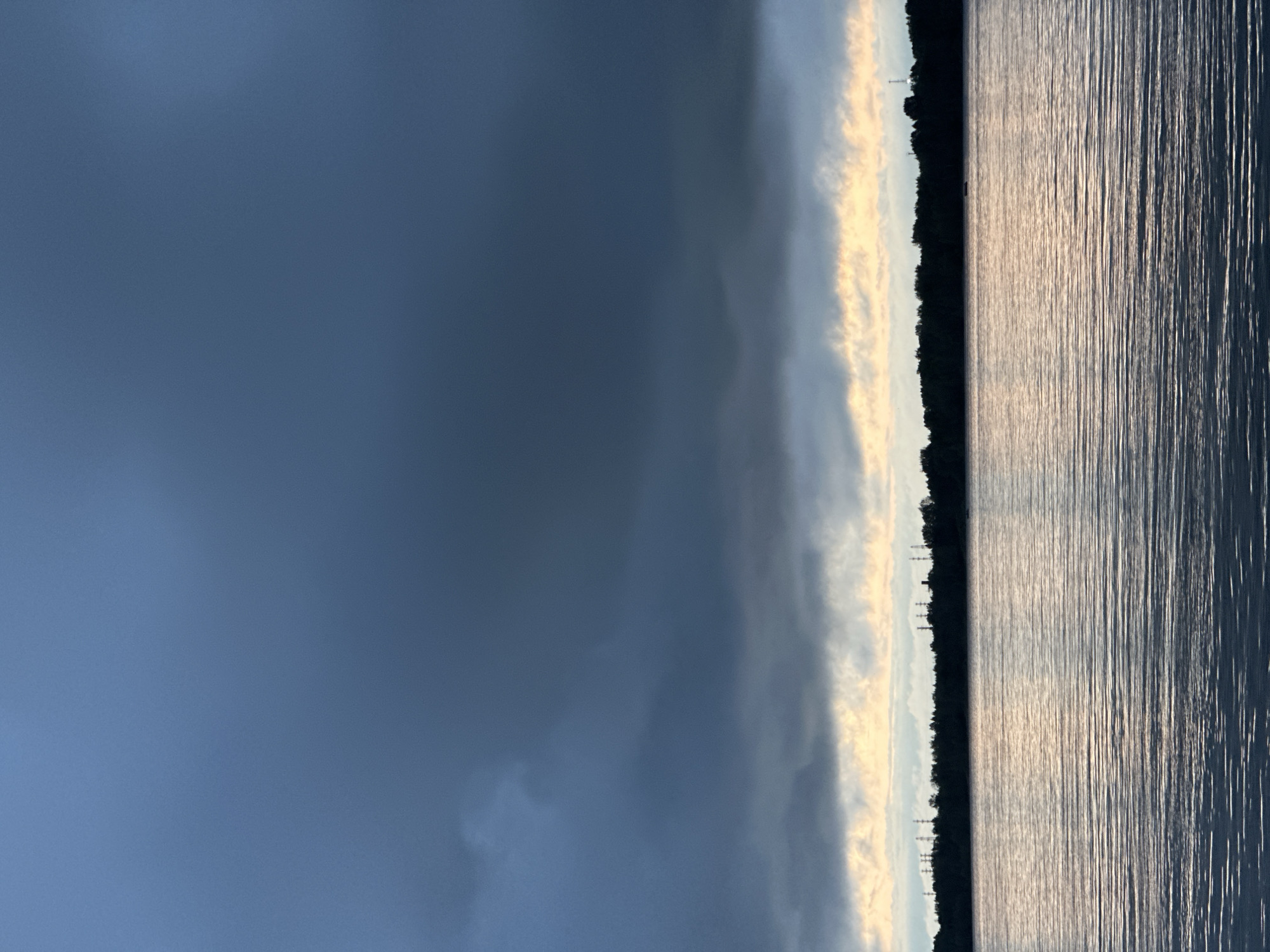 This image captures a broad, still body of water with subtle ripples reflecting the muted light of a cloudy sky. The horizon line is dominated by a dense, dark silhouette of trees, punctuated by several tall, slender structures that appear to be electrical pylons, suggesting proximity to industrial or power infrastructure. Above the treeline, a strip of lighter, warmer-toned clouds peeks through, contrasting with the dominant, dark, and heavy clouds that fill the upper portion of the frame. The overall atmosphere is somber and still, with a sense of impending weather or twilight. The location is identified as Noviy, Russia. There are no people or visible actions depicted in the scene.