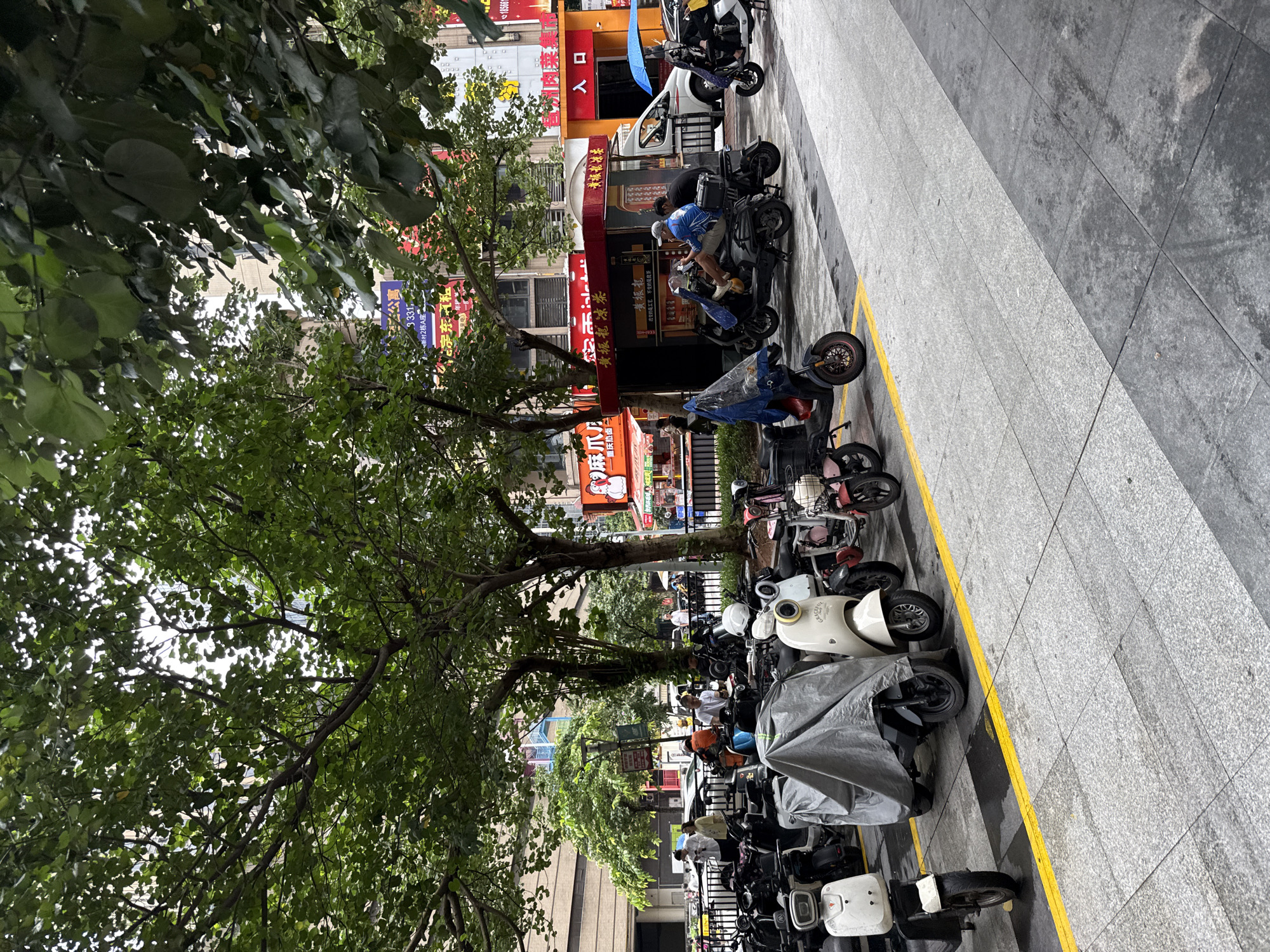In the Haizhu District of China, a street scene unfolds with a prominent row of parked electric scooters and motorcycles lining a paved sidewalk bordered by a yellow line. Lush green trees with dense foliage provide shade over the area. Behind the parked vehicles, a small food stall with red awnings is visible, displaying Chinese characters. Further in the background, a white van with a blue umbrella on its roof is parked. Several people are present; some are standing near the food stall, while others are either sitting on or standing next to the scooters. One man in a blue shirt is seated on a scooter, and another person in a black shirt is beside him. A few individuals are seen walking in the distance. The buildings in the background appear to be multi-story structures, suggesting an urban environment. The pavement is made of grey square tiles, some of which appear damp.