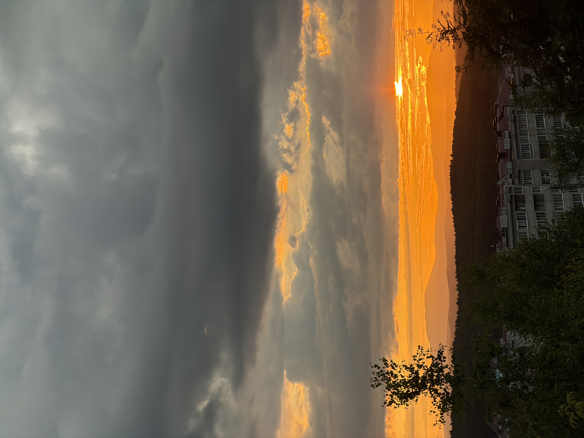A wide-angle, eye-level outdoor shot captures a dramatic sunset over a city. The sky is filled with a mixture of dark, heavy clouds near the top and vibrant orange hues lower down, indicating the sun is setting below the horizon. Rays of sunlight pierce through the clouds, illuminating them with a golden glow. In the distance, layers of mountains fade into the orange haze. The mid-ground features a dense forest, and below that, a neighborhood with apartment buildings. The foreground is dominated by the dark silhouettes of trees, one with a light-colored trunk and sparse foliage. The overall mood is somber yet beautiful, with the warm sunset colors contrasting against the dark clouds and foreground. The location is identified as Unknown, Unknown.