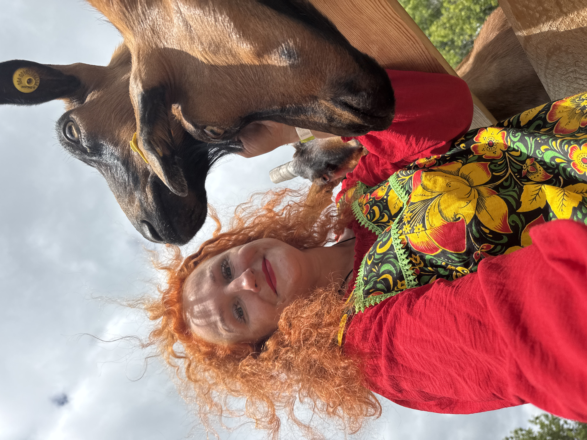 A woman with bright red, curly hair is posing for a selfie with two goats. She is wearing a red long-sleeved shirt and a colorful apron with a floral pattern. Her face is turned towards the camera, and she is smiling. The goats are brown with black markings and are close to her face. One goat has a yellow ear tag. The background is a cloudy sky and some green foliage. The scene appears to be outdoors in a rural or farm setting. The provided image crops focus on the woman's hair and face, the goats' faces and ears, and the details of her clothing. The location is stated to be in the city of Три Озера, Russia.