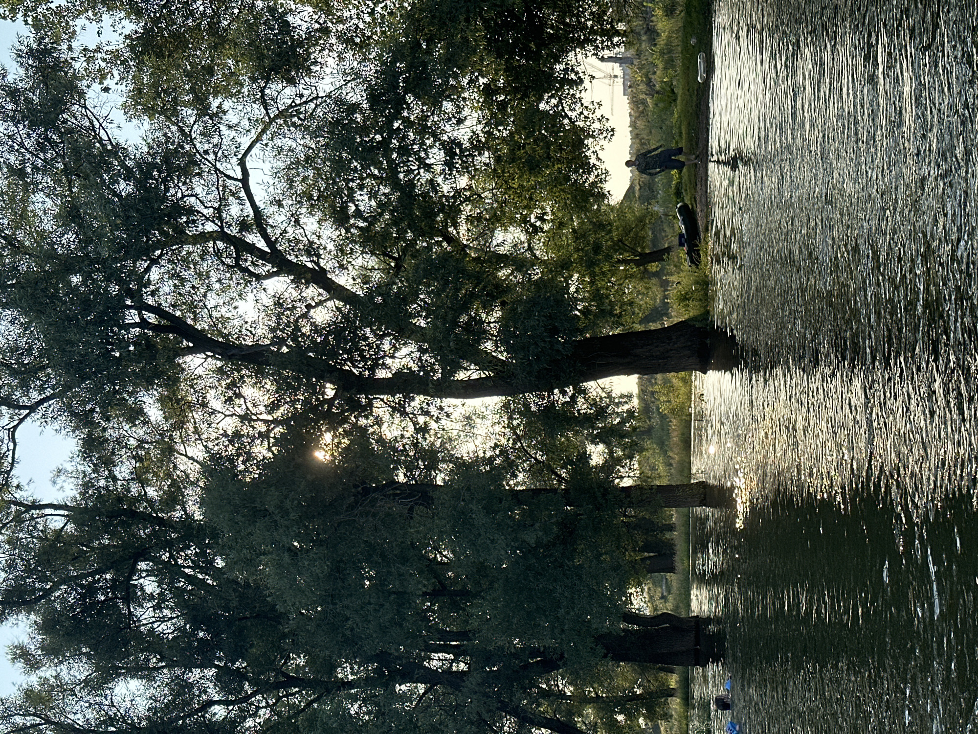The image depicts a sunlit riverbank scene with several large trees partially submerged in the water. In the foreground, the water is calm and reflects the sunlight, creating shimmering patterns. On the left side of the river, a person is partially visible, appearing to be in the water. On the right side, a lone man stands on the grassy bank, wearing a camouflage shirt and shorts. Behind him, an inflatable raft and a white ring are visible on the shore. Further in the background, a line of trees and vegetation stretches across the landscape, with a distant industrial structure or construction site visible on the horizon. The scene appears to be a natural recreational area, likely on the outskirts of Ufa, Russia, given the presence of trees, a river, and the distinctive industrial element in the background.