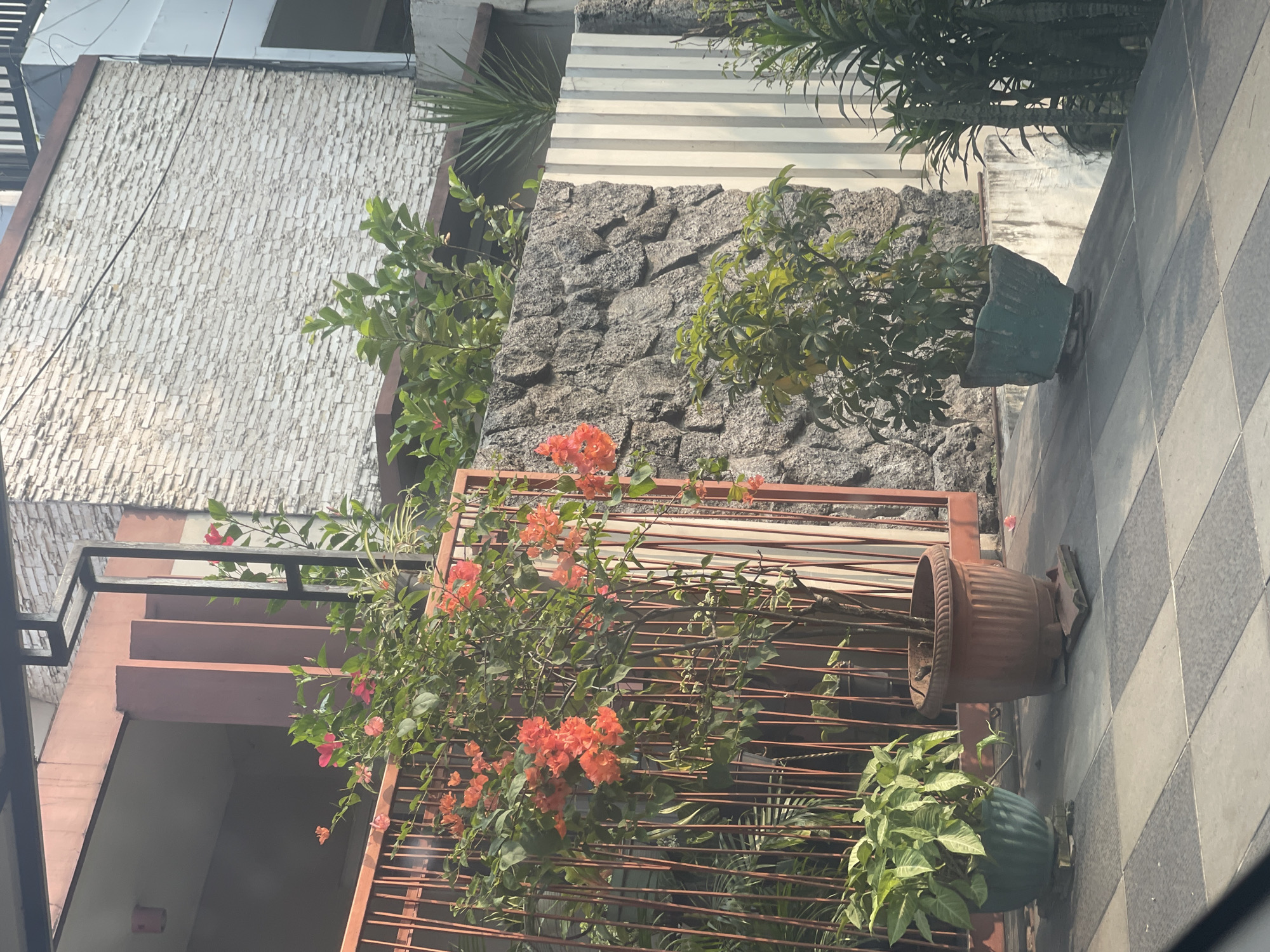 The image depicts an outdoor scene in Tangerang, Indonesia, featuring a building facade and its surroundings. In the foreground, a checkered tiled pathway leads to a rusted metal fence. Behind the fence, a vibrant bougainvillea plant with orange-red flowers is prominently displayed in a large, ribbed, terra cotta pot. To the left of the bougainvillea, a potted plant with broad green leaves sits on a base. Further to the right, a smaller potted plant with green leaves is placed near a textured stone wall. Beyond the stone wall, a modern building is visible with a white, textured brick facade. A tall, slender plant with spiky leaves grows near the building. The scene is bathed in sunlight, casting shadows on the pathway and the surrounding elements.