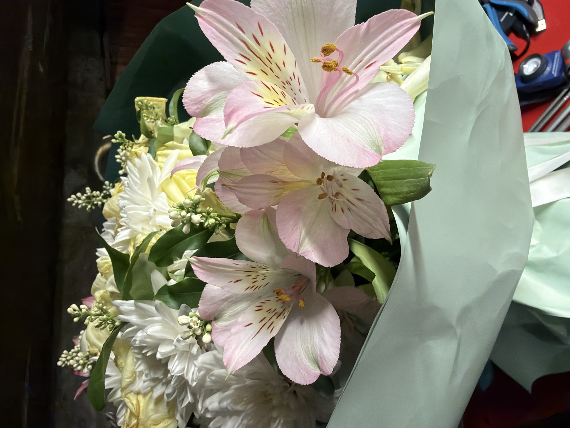 This media file features a close-up view of a floral arrangement, likely a bouquet, presented in a soft, light blue paper wrap. The bouquet is dominated by delicate, pale pink alstroemeria flowers with subtle red-brown speckles on their petals. Interspersed with the alstroemeria are white chrysanthemum-like flowers with layered petals and small, delicate white buds, possibly from other filler flowers. Green foliage is visible throughout the arrangement, providing a natural contrast. The lighting suggests an indoor setting, possibly a shop or a home, with a darker background that gives the flowers a sense of prominence. The background on the right side of the image hints at an outdoor or workshop environment with various objects, including a dark green paper or fabric wrapping, and glimpses of what appear to be tools or equipment, such as a blue and black handheld device with a lens and straps, and some metal rods. The overall mood is one of natural beauty and careful arrangement, suggesting the flowers are a gift or part of a decorative display. The image is devoid of any visible text.
