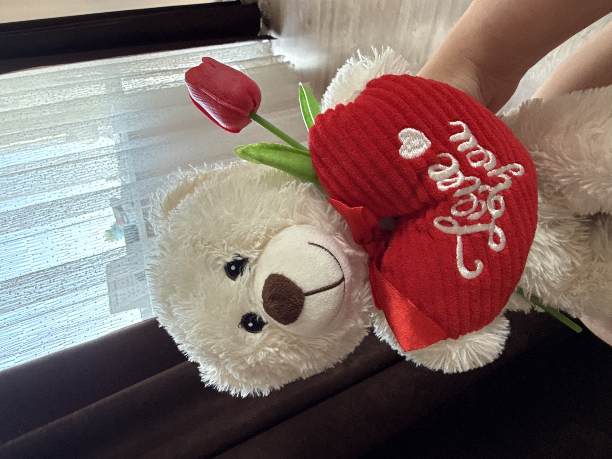 The image depicts a white plush teddy bear holding a red heart and a single artificial red tulip in an indoor setting in Rogosh, Bulgaria. The teddy bear features a brown nose, black eyes, and an embroidered smile. The red plush heart has "Love you" embroidered in white cursive text, alongside a small white heart icon. A human forearm and hand are visible on the lower right, supporting the teddy bear. The background consists of a large window area with sheer, light-colored curtains featuring a dotted pattern, and a dark brown opaque curtain partially visible on the left. Beyond the curtains, a bright outdoor scene with faint outlines of distant buildings or structures is discernible. The floor in the lower right appears to be light-toned.