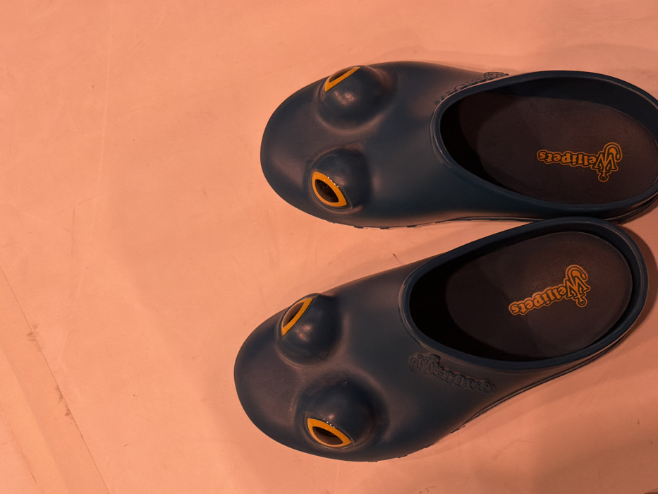 Two teal-colored Wellipets brand novelty slip-on shoes are depicted from an overhead perspective, resting on a plain, light salmon-colored surface. Each shoe features two prominent, bulbous eye-like structures on its toe, with yellow-orange oval inserts representing pupils. The "Wellipets" brand name is embossed on the outer side of the shoe body and printed in yellow on the dark insole of both shoes. No individuals are present. No actions or interactions are occurring. The surface displays minimal texture and a subtle horizontal line in the upper left quadrant. No discernible architectural or environmental details are present to indicate a specific location, including a city like Paris, France.