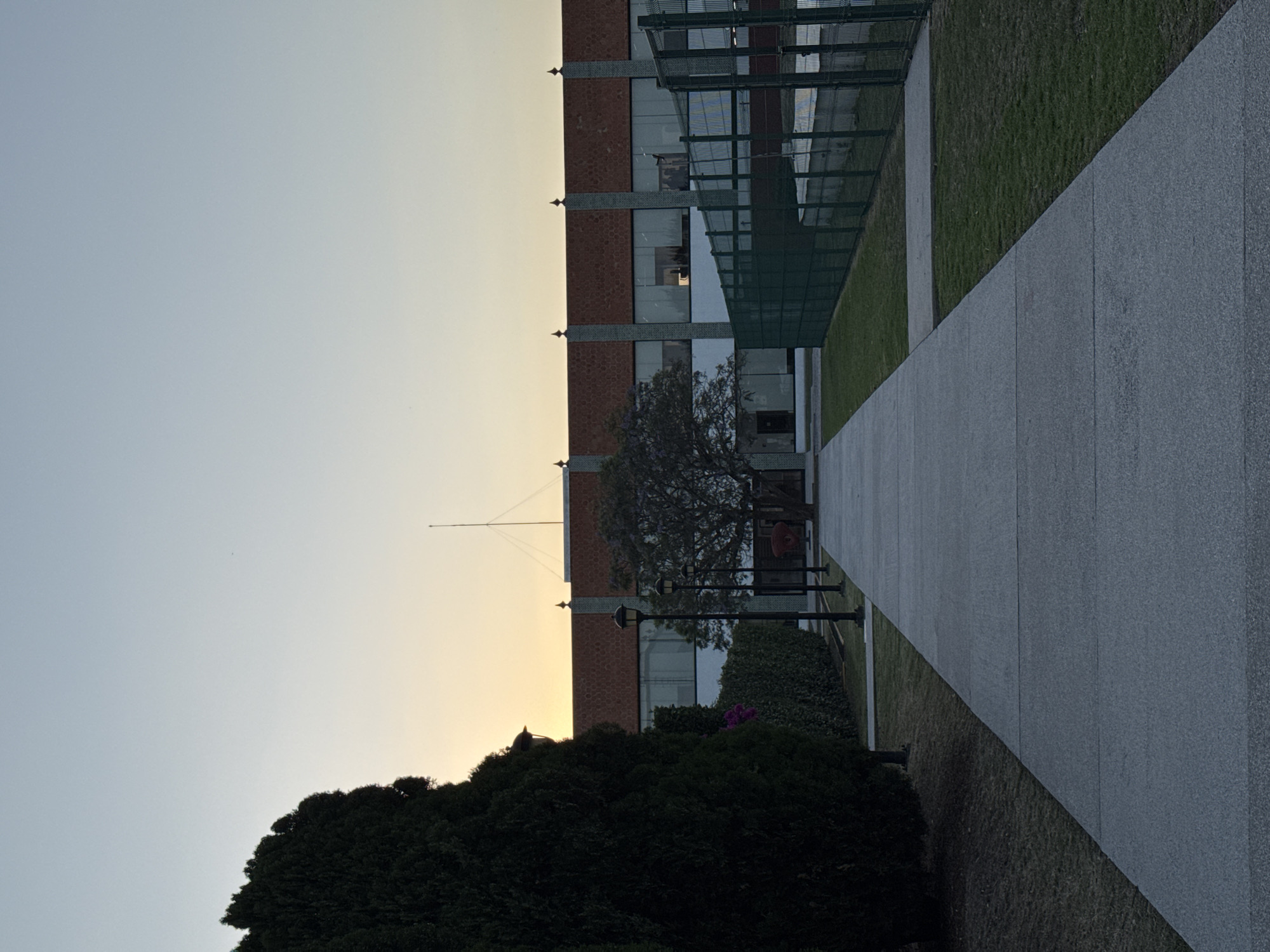 The image displays an outdoor scene, likely in San Andrés Cholula, Mexico, characterized by a clean, modernist aesthetic. A wide, light-grey paved pathway stretches diagonally from the foreground towards the middle distance, bordered on its right by neatly trimmed green grass and on its left by a multi-story building.
The building is a prominent subject, featuring a façade of reddish-brown textured panels interspersed with horizontal light grey bands and large rectangular windows. A distinctive green metal lattice structure, possibly a sunshade or decorative element, is attached to the upper part of the building. In front of the building, a row of dark lampposts lines the pathway, and a variety of dark green bushes and hedges are visible, with one tree showcasing subtle purple blossoms, characteristic of a Jacaranda. Thick, dark foliage forms a dense foreground element on the left. No people are visible, and no specific activity is taking place; the scene appears still and quiet.
Notable details suggest either late afternoon or early morning. The clear sky transitions from a soft light blue overhead to a gentle pale yellow-orange near the horizon, indicating a low sun angle and soft, indirect light. A thin, dark pole, possibly a flagpole or antenna, stands against the lighter sky in the distance. The overall impression is one of peacefulness and order, likely a campus, institutional, or corporate environment due to the structured landscaping and modern architecture. There is no visible text in the image.