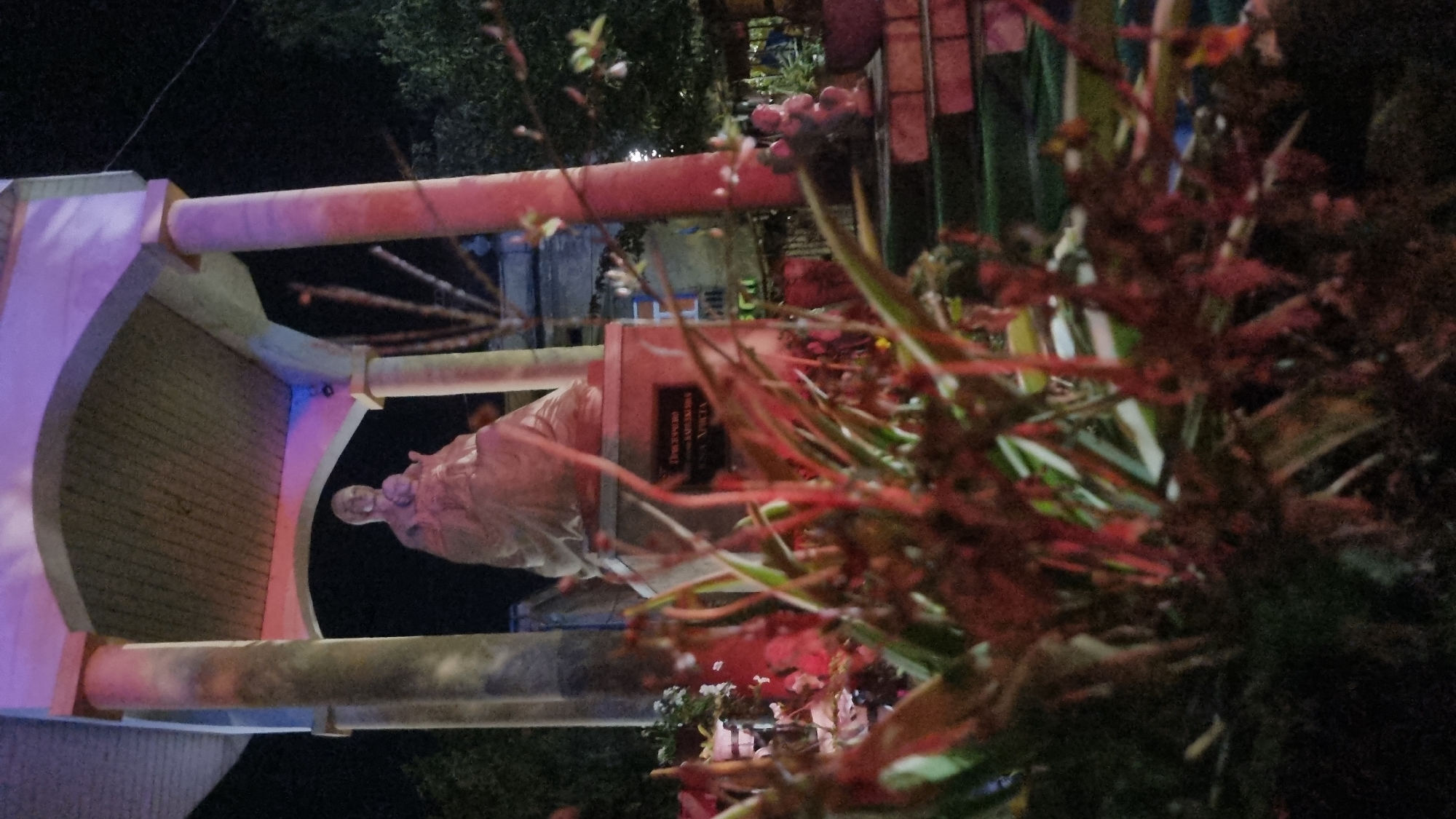This image depicts a statue of a woman holding a child, likely a religious depiction, situated outdoors at night. The statue is illuminated by colored lights, casting pink and blue hues on the surrounding structure and the dark sky. In the foreground, out-of-focus foliage partially obscures the view of the statue and its pedestal, which bears an inscription. The statue appears to be made of stone or a similar material and is located in front of a canopy supported by pillars. In the background, trees and other structures are visible, also dimly lit. The scene suggests a public space, possibly a park or a square in the city of Berehove, Ukraine, given the context provided.