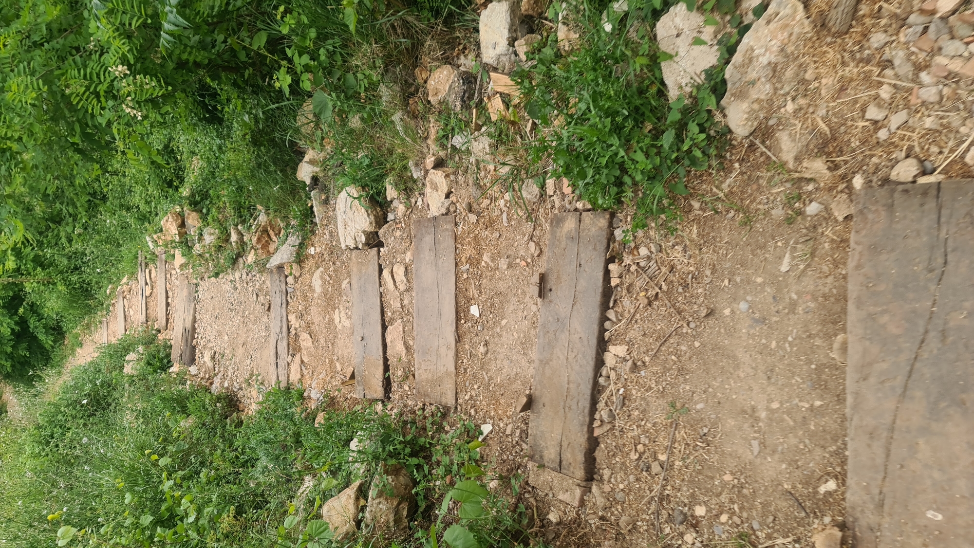 A path winds downwards, constructed from rough-hewn wooden planks laid irregularly across a dirt and gravel surface. The path is bordered by dense green foliage and scattered rocks. The location is consistent with an undeveloped area near Budva, Montenegro. No people are visible. The planks are worn and uneven, suggesting a rustic and natural setting.