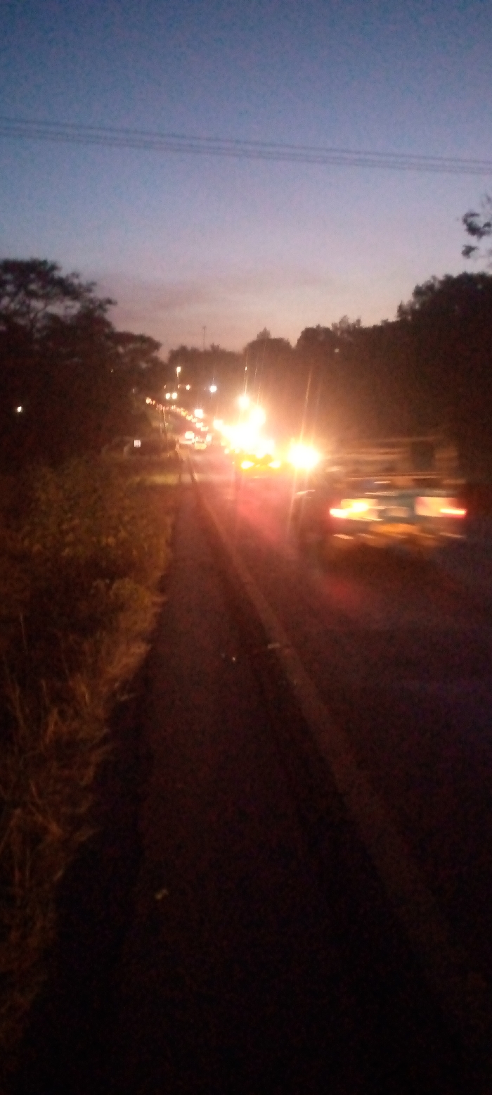 A blurry photograph captures a road at dusk, flanked by trees. The sky is a gradient of blue and hints of pink. Numerous vehicle headlights are visible, blurring due to motion and low light. Vegetation lines the left edge of the road. The asphalt is dark, with indistinct markings or textures. The scene appears to be captured during a busy time on a road outside of a urban area.