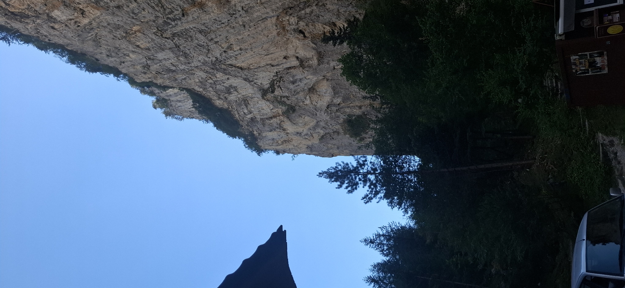 The image depicts a steep, rugged cliff face in the Rhodope Mountains, near Trigrad, Bulgaria. The cliff is composed of light-colored rock with visible strata and is partially covered by sparse vegetation, including trees growing from crevices. The sky above is a clear, bright blue. In the foreground, a dense forest of dark green trees forms a thick canopy. A single tall, slender pine tree stands prominently in the middle ground, emerging from the forest. To the left of the frame, a portion of a dark, triangular object, possibly an awning or a structure, is visible against the sky. In the lower left corner, the front of a silver car is partially visible. The lower right corner shows a dark, weathered wooden structure, possibly a kiosk or shelter, with posters or signs affixed to its side. The overall impression is of a natural, somewhat wild landscape with signs of human presence.