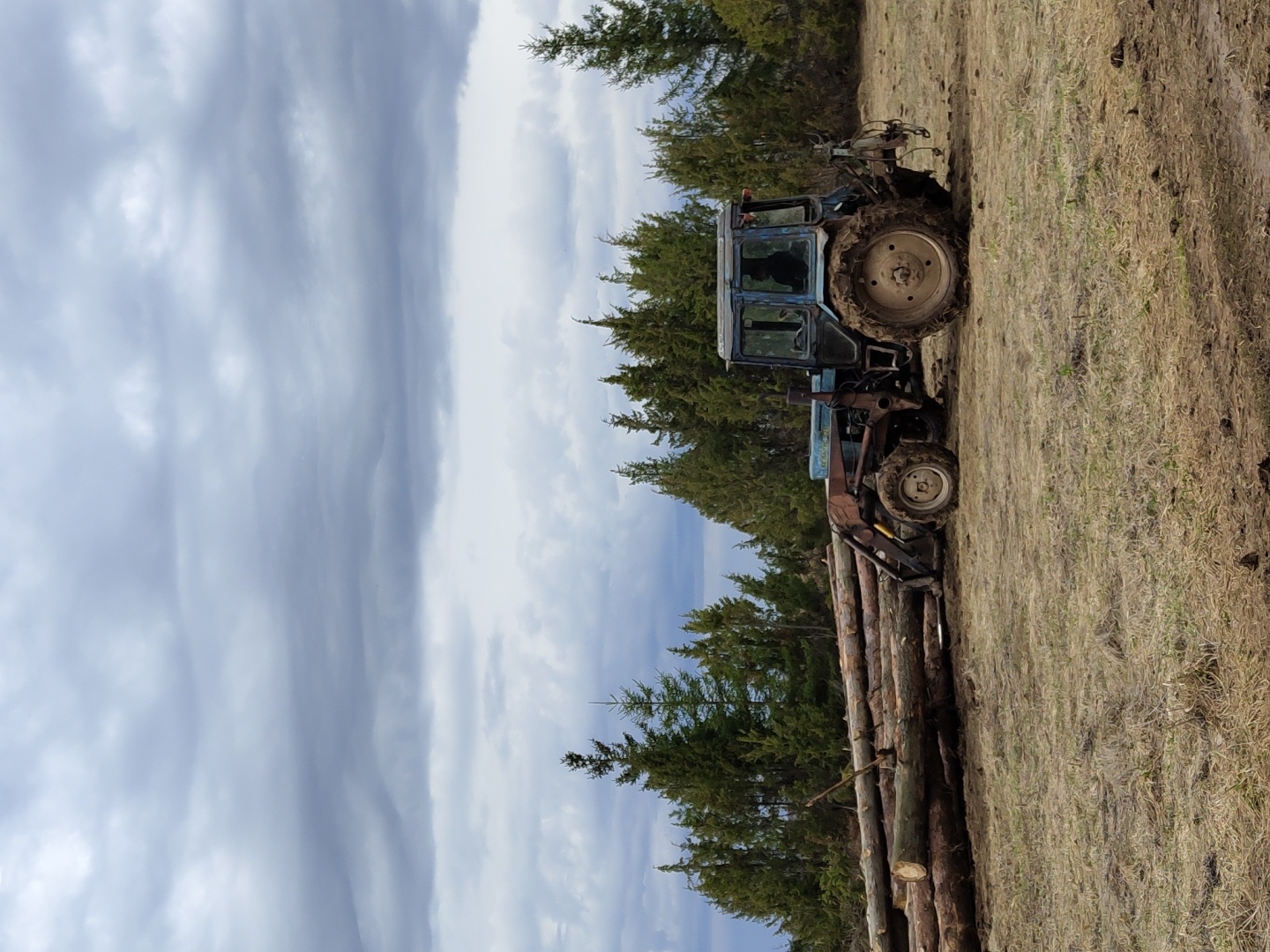 An outdoor scene in Ольховка, Russia, depicts a forestry operation under an overcast sky. The image, when viewed upright, shows a blue tractor with large, muddy tires positioned on a field of dry, sparse grass and mud. The tractor appears to be a forestry model, equipped with what looks like a log loader or a trailer attachment carrying a substantial stack of cut tree trunks. The logs are rough-cut and vary in diameter, piled neatly on the ground next to the tractor, suggesting recent felling and preparation for transport.
Behind the tractor and the logs, a dense line of tall evergreen trees, likely conifers like spruce or pine, forms the edge of a forest. The ground immediately around the logging activity is churned and muddy in places, indicating heavy vehicle movement. The sky overhead is heavily clouded with various shades of grey, suggesting a cool, possibly damp, day without direct sunlight. No people are visible, and there is no legible text on the tractor or in the scene. The overall impression is one of active timber harvesting in a rural, forested environment.