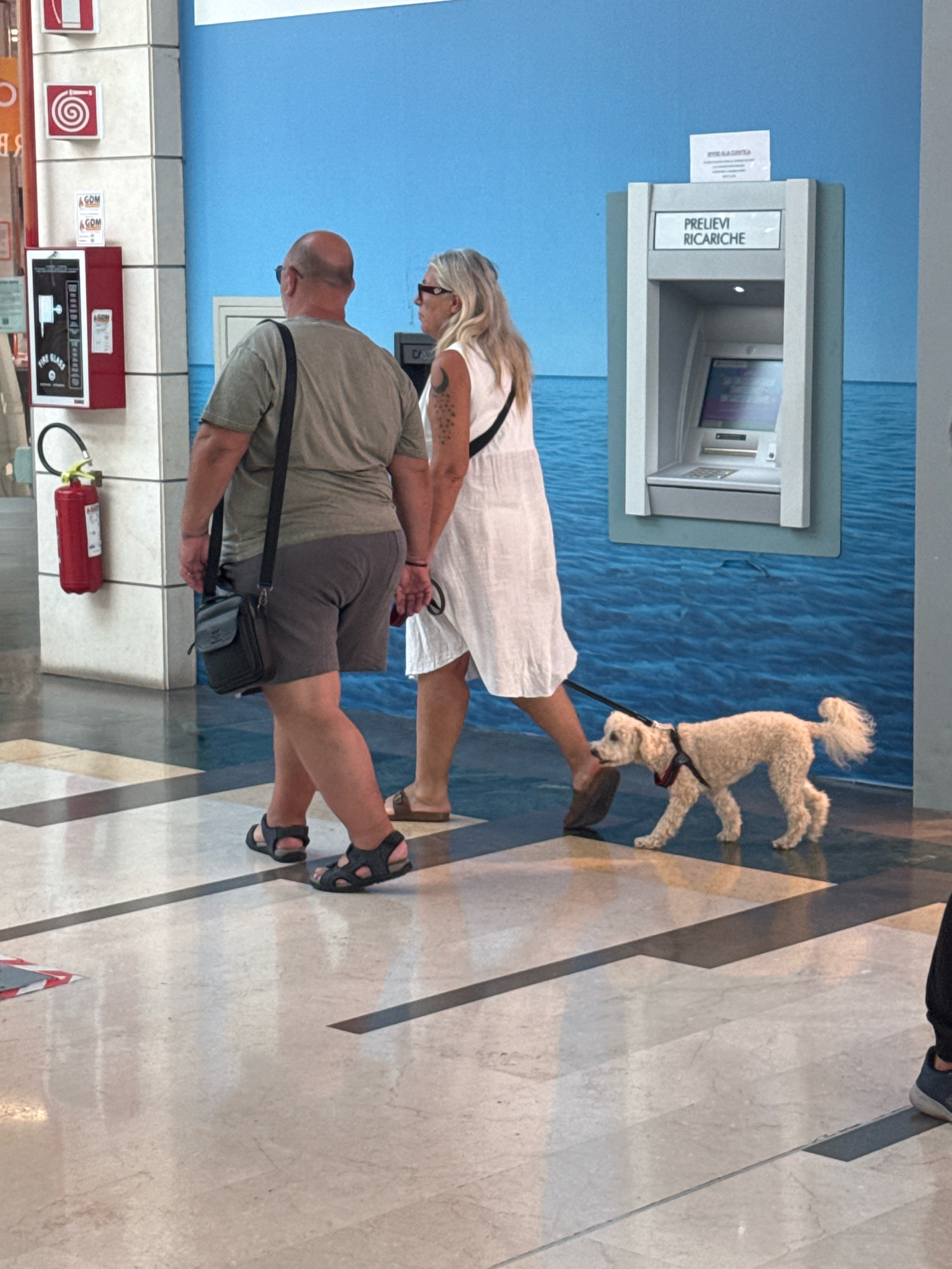 The image captures a scene indoors, likely within a public building or shopping center, as suggested by the polished marble-like floor and the presence of a fire extinguisher on a white column. A couple, a man and a woman, are walking from left to right, accompanied by a small, light-colored dog on a leash. The man, wearing sunglasses and a dark t-shirt, has a satchel slung across his body. The woman, with blonde hair and sunglasses, wears a white dress and holds the dog's leash. Behind them, an ATM is visible mounted on a wall adorned with a blue mural depicting water and the sky. Above the ATM, a sign reads "PRELIEVI RICARICHE". On the left side of the image, a red fire extinguisher is mounted on a white column. The lighting suggests an indoor environment. The presence of the ATM and the mural creates an impression of a modern, possibly commercial, space. The individuals appear to be engaged in casual activity, walking their pet. The scene does not provide specific visual cues to definitively place it in Carini, Italy, beyond the context provided in the prompt.