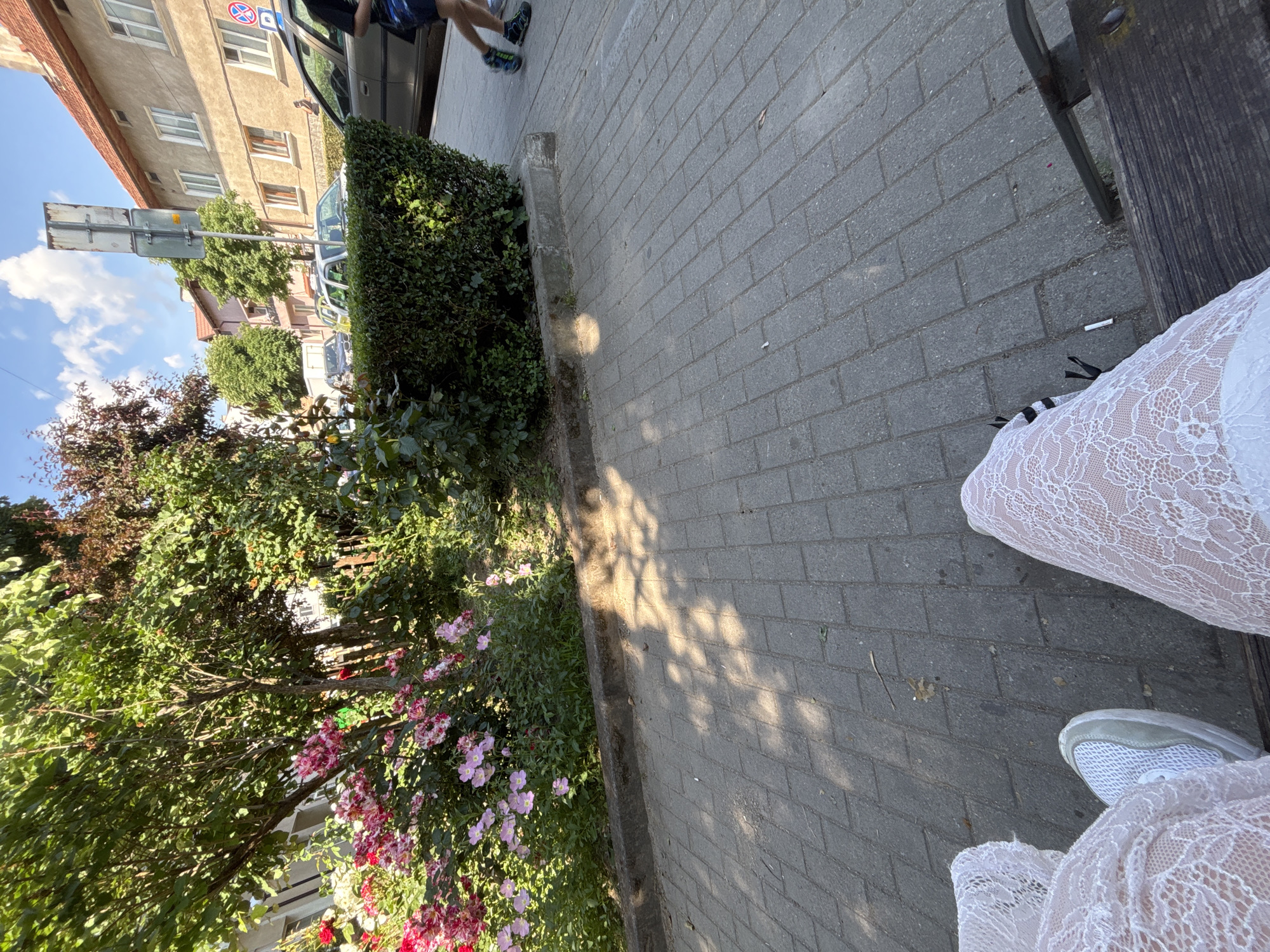 The image, taken in Gotse Delchev, Bulgaria, depicts a sunny outdoor scene from a low, slightly angled perspective, as if from someone seated on a bench. In the foreground, the lower legs and feet of a person are visible, adorned in a white, intricate lace garment and light-colored sneakers. A section of a dark wooden bench is also partially visible, and a discarded cigarette butt lies on the grey brick sidewalk.
The sidewalk, made of rectangular pavers, extends into the midground, bordered by a neat green hedge and a vibrant flower bed filled with pink and red blossoms. Strong sunlight casts clear, dappled shadows from overhead foliage onto the pavement.
Beyond the sidewalk and greenery, a street is visible, populated by parked vehicles including a dark sedan and a white car. A circular red traffic sign with a diagonal line (indicating a prohibition, likely no parking or stopping) is visible on the dark sedan's window. Buildings line the street, including a multi-story structure with a light-colored facade and windows, and another with a red tile roof. Abundant trees and bushes contribute to the verdant setting. In the upper left of the frame, the legs and feet of another person, wearing dark sneakers with blue accents, are visible walking on the sidewalk. The bright conditions and visible white clouds suggest a clear, sunny day.