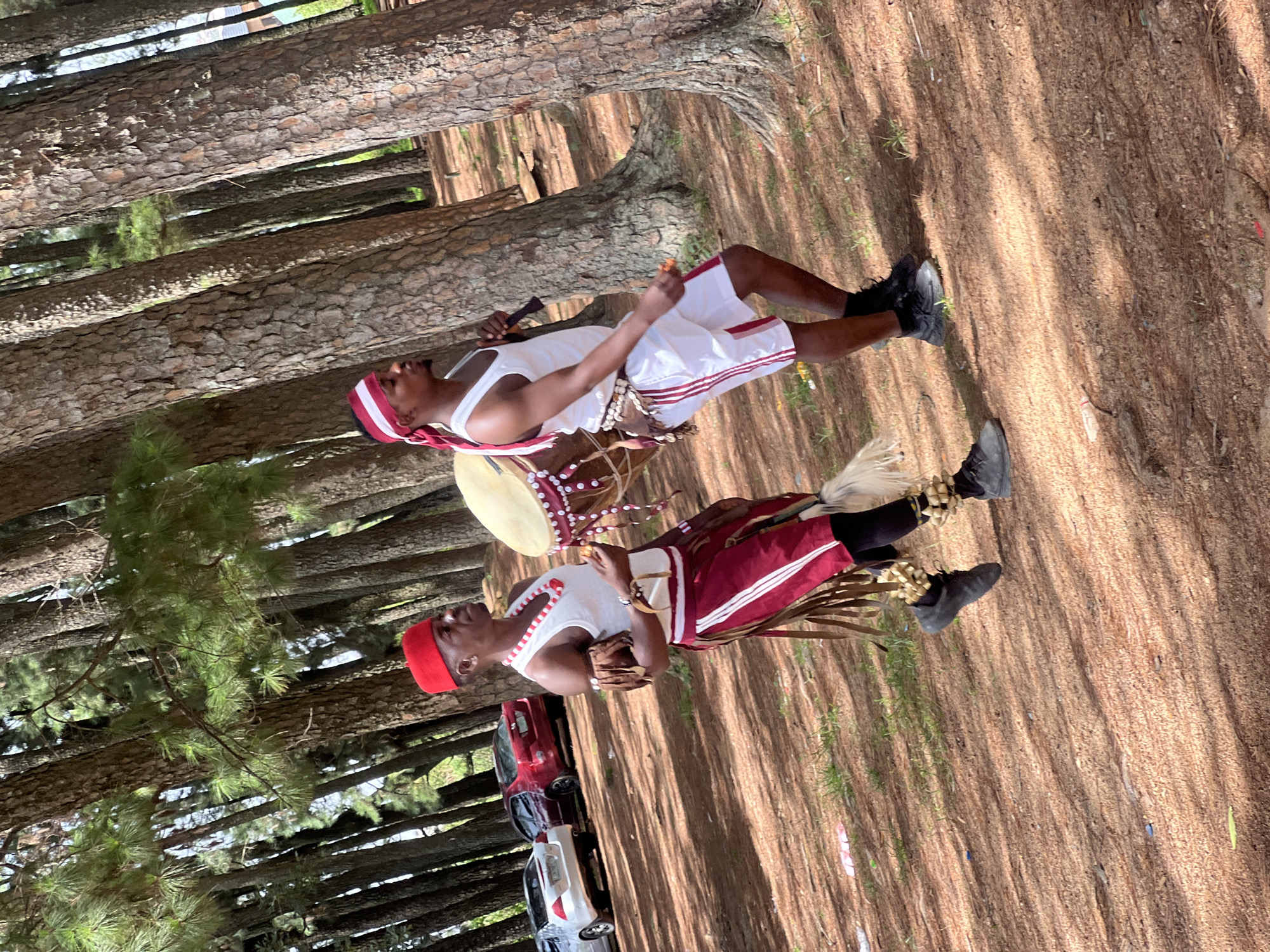 The image depicts two men in what appears to be traditional African attire. The man on the left is beating a drum while holding a stick in his right hand. He is wearing a white sleeveless shirt with red trim, matching shorts, and a red headband. The man on the right is wearing a similar outfit, with a red cap and a skirt-like garment with tassels. Both are wearing black shoes and appear to be standing on a dirt ground covered with pine needles. The environment consists of a forest with tall pine trees.
Based on the attire and cultural cues, and given the prompt's instruction, this could be taking place in Jos, Nigeria. The presence of pine trees would suggest the cooler, higher altitude regions within Jos. However, without further information, the precise location within Jos cannot be determined.