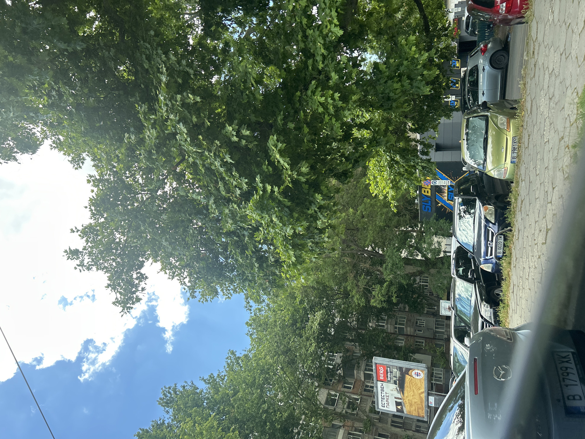 The image depicts a street scene in Varna, Bulgaria, on a cloudy day. In the foreground, a silver car is partially visible, facing away from the camera. Behind it, several other cars are parked, including a black SUV, a dark blue hatchback, a bright green compact car, a silver hatchback, and a red car. The green car has a license plate that reads "B 1981 KP". The cars are parked on a paved surface with some grass and weeds growing between the stones.
In the background, a multi-story building with numerous windows is visible, suggesting an urban residential area. To the left of the building, a large billboard advertises "ЕСТЕСТВЕН БЕРГ ПАРКЕТ" (Natural Berg Parquet) with the website "bergbg.com". Further to the right, a building with a prominent sign that says "SLY BOX" and other smaller signs related to betting is visible. Large, leafy trees with green foliage are prominent throughout the scene, casting shadows on the cars and the ground. The sky is partly cloudy, with patches of blue visible. The overall impression is that of a typical city street with parked cars, buildings, and trees under a partly overcast sky.