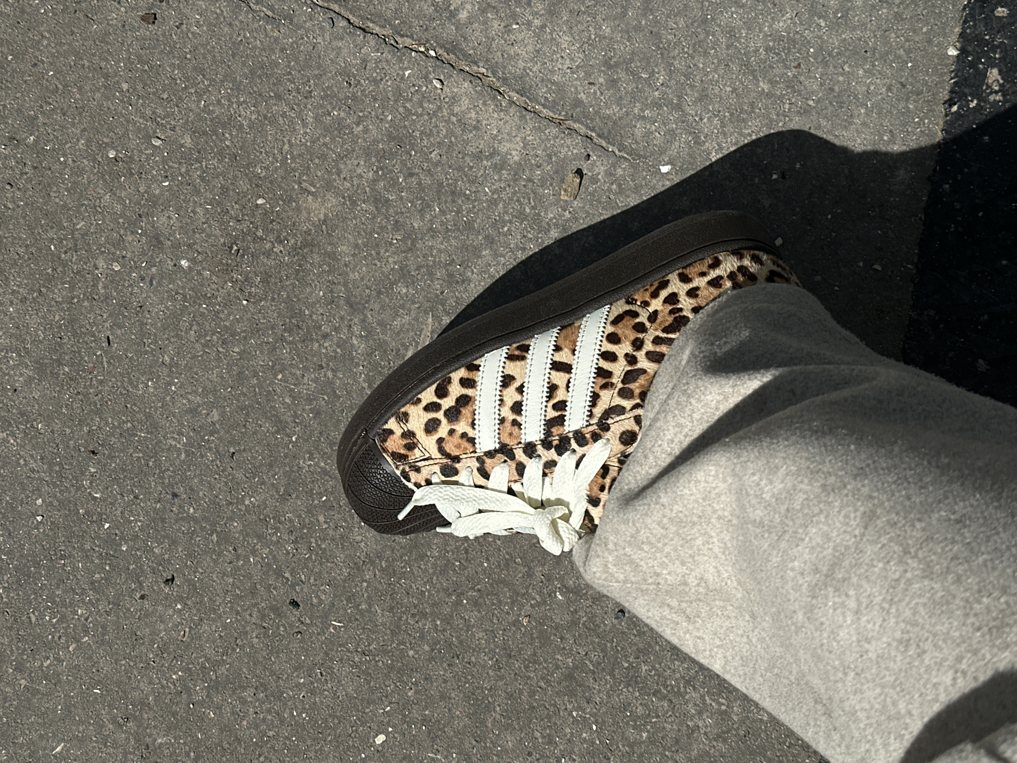 The image presents a ground-level view of a person's foot clad in an Adidas Superstar sneaker with a leopard print design. The shoe features the iconic Adidas three stripes in white. The laces are also white and appear untied. The person is wearing a gray pair of sweatpants that fall casually around the ankle. The setting appears to be an urban environment with a cracked concrete surface, indicative of a sidewalk or street. The composition suggests the photograph was taken outdoors in natural lighting. The location is unknown and cannot be determined from the image.