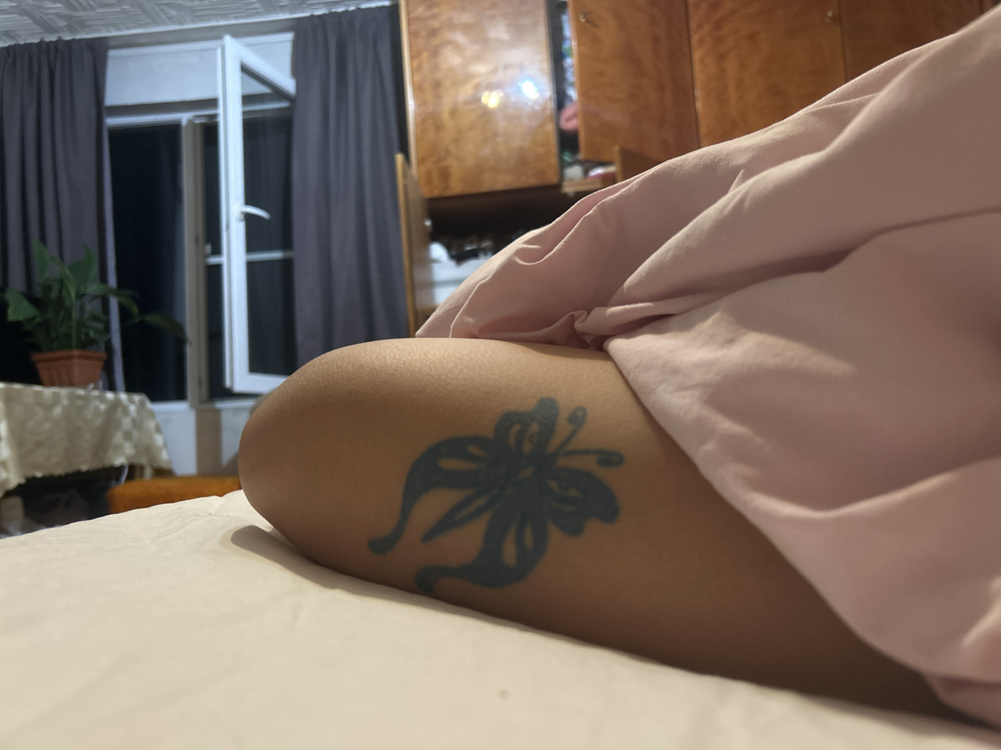 The image depicts an indoor scene, likely a bedroom, located in Buhovo, Bulgaria. In the foreground, a bare human limb, consistent with a thigh or upper arm, rests on white bedding or a sheet. A dark blue butterfly tattoo is prominently displayed on the exposed skin. Over the limb and extending to the right, a crumpled section of light pink fabric, possibly a blanket or garment, is visible.
In the midground to the left, a green houseplant in a terracotta-colored pot sits on a surface covered by a white, subtly checkered tablecloth. Behind the plant, a window is partially obscured by dark grey curtains on either side. The central part of the window is open, revealing a dark exterior, indicative of nighttime conditions. The window frame is white.
To the right of the open window, a large piece of wooden furniture, possibly a wardrobe or cabinet, with a glossy, light brown finish is visible, reflecting internal light sources. The ceiling, visible at the top of the image, has a textured white surface.