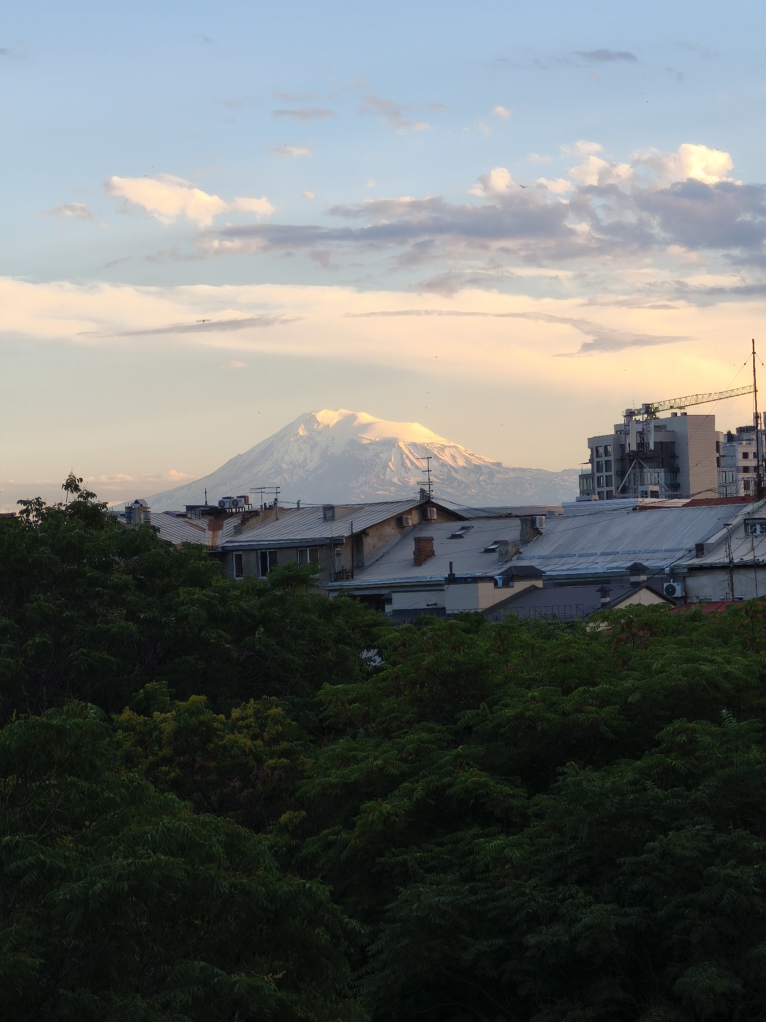 A wide-angle, vertical shot captures a scenic view of a snow-capped mountain looming behind a dense canopy of dark green trees and a cluster of city buildings. The mountain, likely Ararat, is bathed in the soft, warm light of either sunrise or sunset, with its peaks glowing against a pale sky. The sky is a gradient of light blue near the top, transitioning to hues of pink and orange near the horizon, dotted with scattered clouds.
In the foreground, the lush, dark green foliage of numerous trees obscures the lower portion of the scene, creating a natural frame. Above the trees, the rooftops of various buildings are visible, some with a corrugated metal finish and others with tiled roofs. Several of these buildings have antennas and air conditioning units on their roofs. A prominent modern building with multiple windows and a construction crane on its right side stands out among the older structures.
The overall mood is serene and picturesque, with the grandeur of the mountain contrasting with the urban environment. The time of day is clearly indicated by the soft lighting and the colors in the sky. There is no visible text in the image, and no people or specific activities are depicted, making it a landscape-focused photograph.