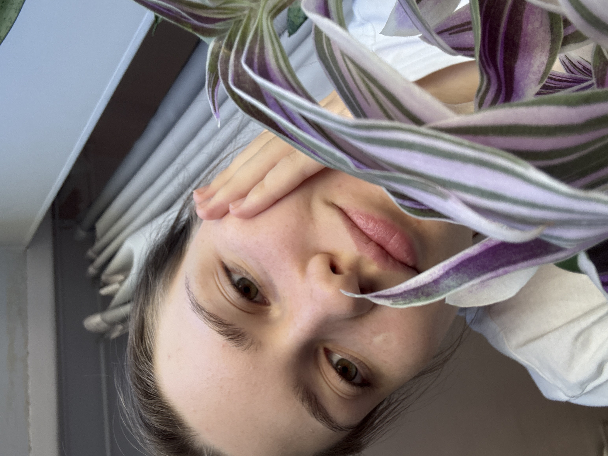 A woman is captured in a close-up, low-angle shot with her face prominently displayed. She gazes directly at the camera, her hand gently resting on her cheek. A vibrant plant with leaves striped in shades of green, white, and purple partially obscures her face. The background reveals window blinds, suggesting an indoor setting. There is no evidence to suggest this image was taken in Saint Petersburg, Russia.