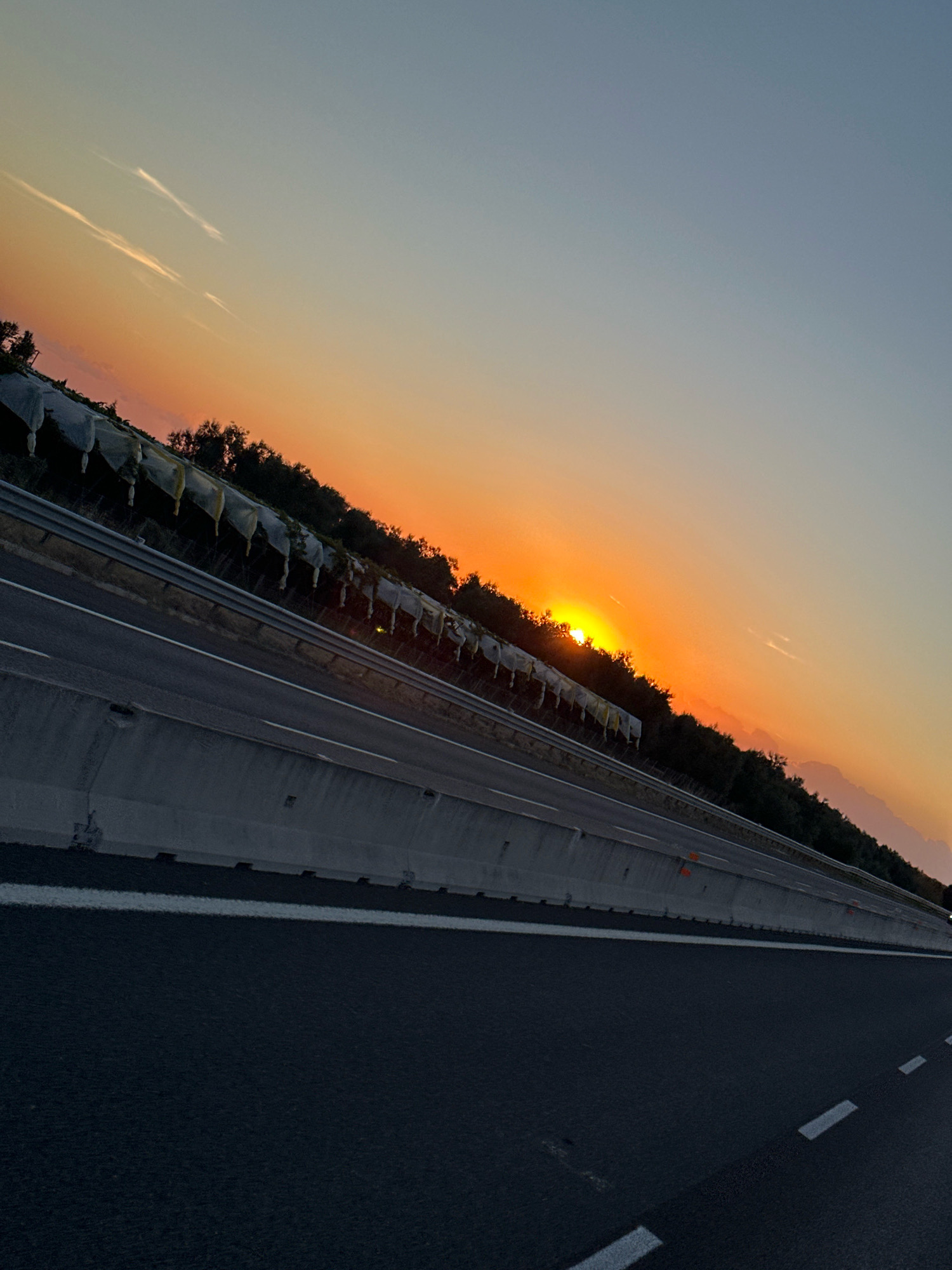 The image depicts a sunset over a highway in Bisceglie, Italy. The sun is partially obscured by trees and appears as a bright orange orb on the horizon. The sky transitions from a pale blue at the top to a warm orange and pink gradient near the sun. A highway stretches into the distance, with concrete barriers and white lane markings visible. The roadside is lined with trees and what appear to be greenhouses covered in white plastic sheeting. The scene is tilted, giving a dynamic perspective to the landscape. There are no people or animals visible in the image.