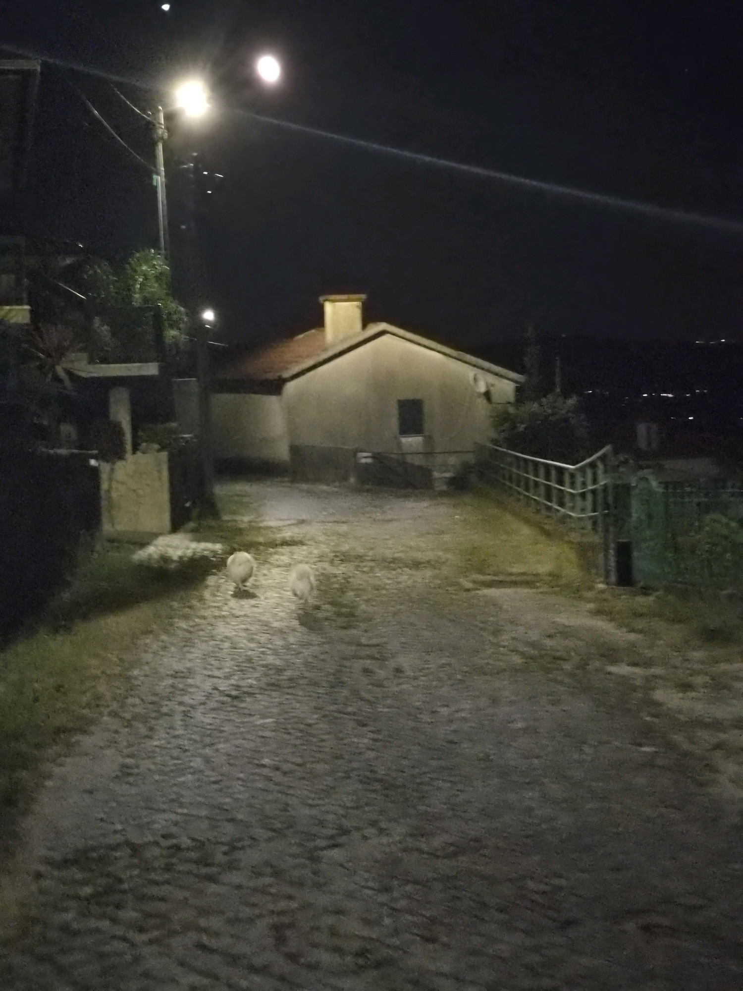 In Barcelos, Portugal, at night, a cobblestone path leads uphill towards a light-colored house with a red-tiled roof. Two white geese are walking on the path in the foreground. To the left, a street light illuminates the scene and wires hang from a pole. In the background, a metal fence and a green gate are visible, along with distant city lights.