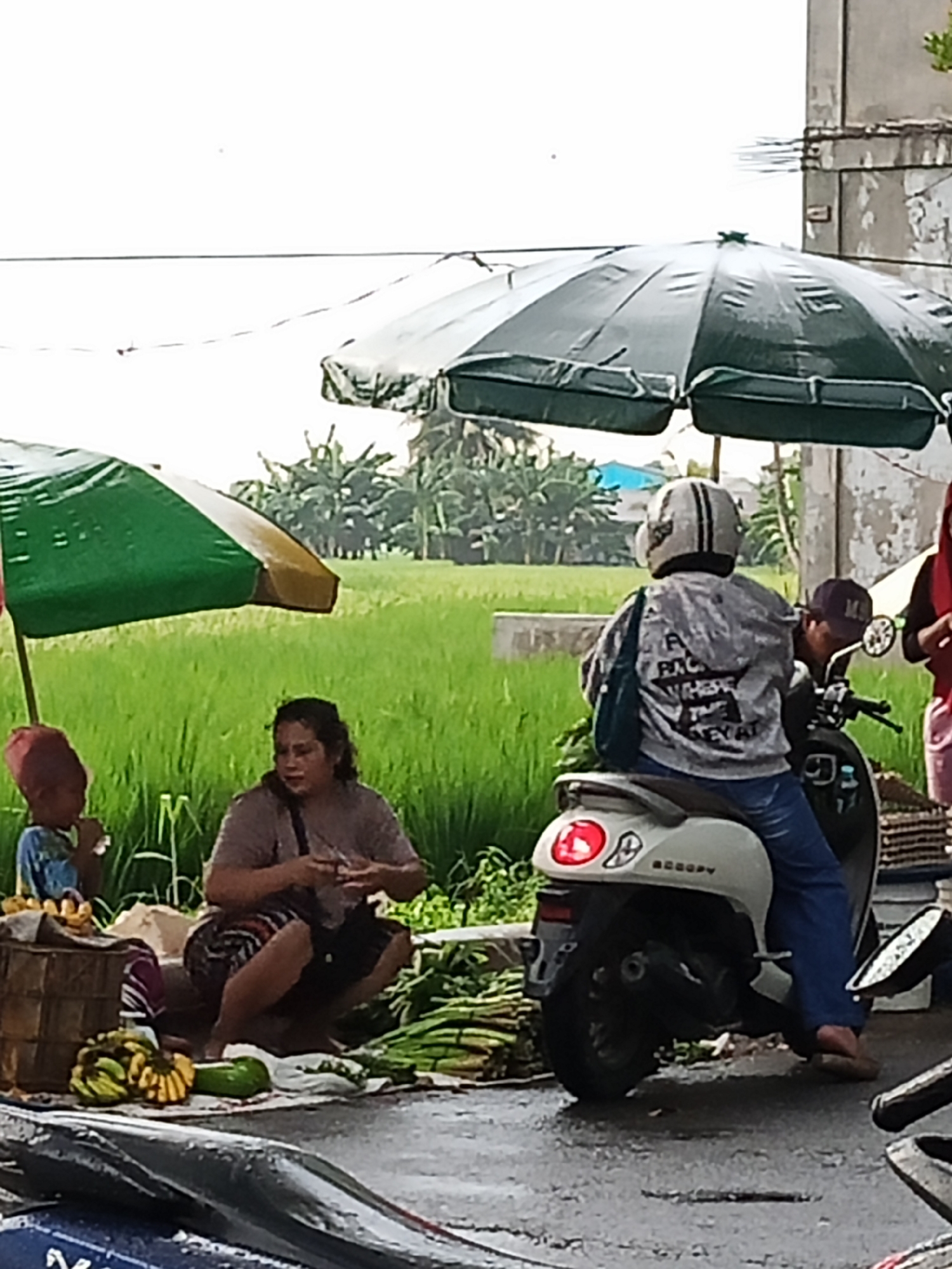 In Wono Sari, Indonesia, a roadside scene unfolds with individuals and merchandise beneath umbrellas. A person wearing a helmet and a grey jacket with a design sits on a scooter. Beside them, another person wearing a dark cap leans forward. Two women are crouched down; one is engaged in a transaction, holding something in her hands, while another, a child, eats. Surrounding them are bundles of green vegetables, bananas, and other produce, suggesting a market or street vendor setting. The environment includes a field of green crops in the background, indicating a rural or semi-rural area, and a wet street, implying recent rain.