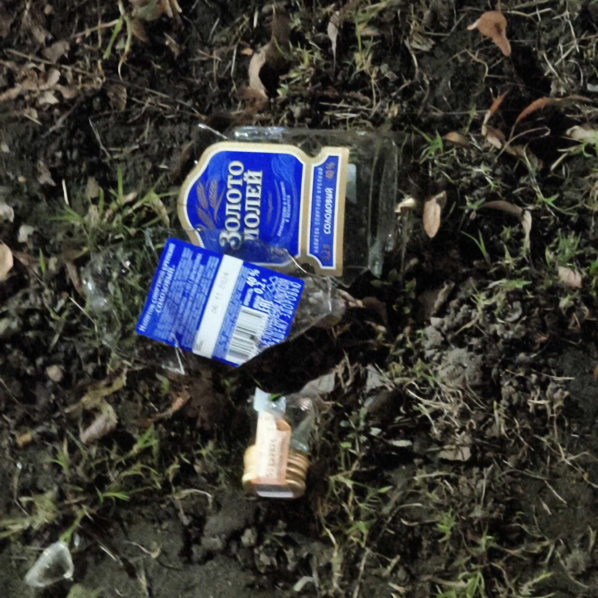 The scene depicts an outdoor ground area, likely at night or in low light conditions, illuminated by an artificial light source. No people, actions, or interactions are visible. The specific location within the city of Hrodna, Belarus, cannot be determined from the provided visual information.
The primary subject is an empty, clear glass bottle, approximately 0.5-liter capacity, lying horizontally on dark, moist soil. The bottle features a prominent blue and gold label that reads "ЗОЛОТОЙ ЯЧМЕНЬ" (Golden Barley) and indicates "40%" alcohol content, along with the word "СОЛОДОВЫЙ" (Malt). A detached portion of the label shows the date "06.11.2024". A gold-colored metallic crimped bottle cap rests near the neck of this larger bottle.
To the bottom right of the glass bottle, a small bundle of approximately 8-10 coins is stacked and wrapped in clear plastic, with a small, light-colored paper tag attached. In the lower left quadrant, a small, irregularly shaped shard of clear plastic is visible.
The environment consists of dark soil, sparse green grass blades, and scattered dry, brown leaves and small twigs. The ground texture is uneven and appears to be an unpaved or natural area.