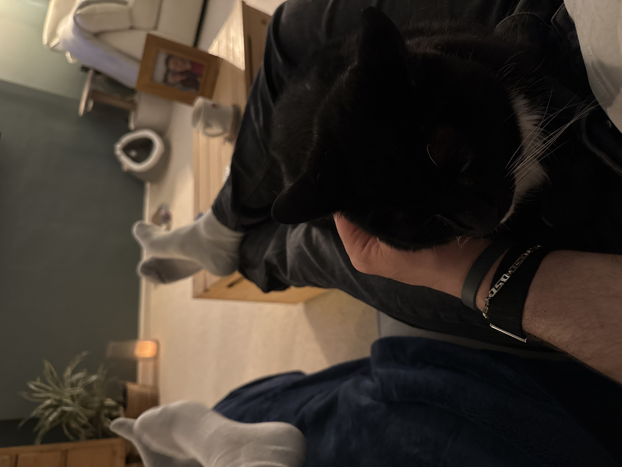 A person is sitting in a chair, with a black and white cat in their lap. The person is wearing grey socks and dark pants. The cat is mostly black with white whiskers and is being petted by the person. The person has a dark grey wristband and a chain bracelet on their left wrist. There is a blue blanket draped over the person's legs. A small plant is in a pot near the person's feet. A small picture frame, a white mug, and what appears to be a small cat dish are on a table behind the person. The setting appears to be a home interior. It's not possible to determine the specific location in East Suffolk from the provided image.