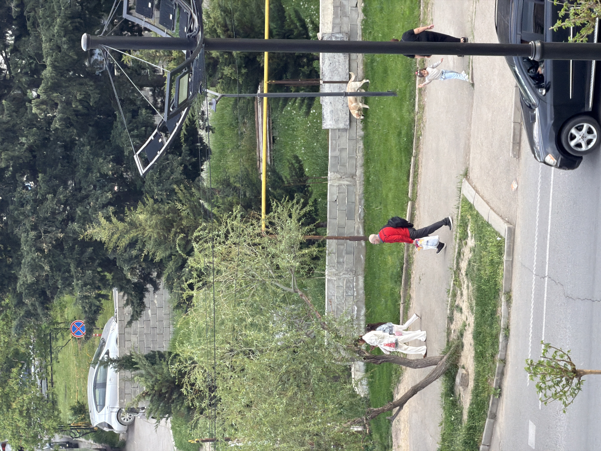 The image shows an elevated street scene in Tbilisi, Georgia. A black car is parked on the right. Adjacent to the vehicle, two individuals are lying on the pavement. A dog rests on a wall in the background. A man in a red jacket walks on the sidewalk while carrying a bag. Further down the street, two people are also walking. In the lower-left corner, a silver car is parked beneath a "No Parking" sign. A distinctive streetlamp structure with multiple screens is located prominently in the foreground. A strip of grass and trees are separating the two sides of the street.