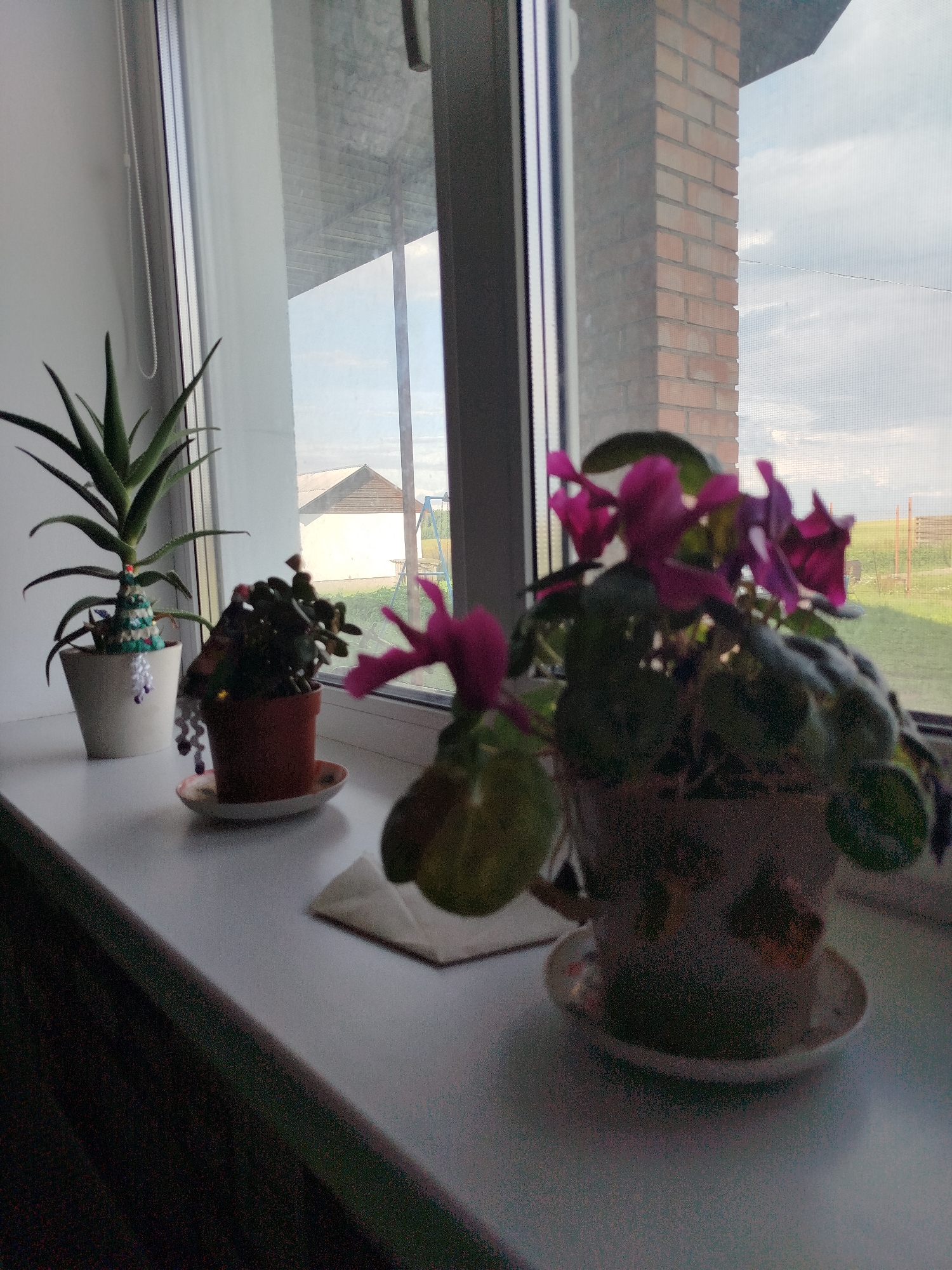 The image shows a windowsill with three potted plants. On the left is a tall, green succulent in a white pot, decorated with a small, crocheted Christmas tree. Next to it is a smaller plant in a reddish-brown pot, with dark green leaves and some visible red and white ornamentation. To the right, a larger plant with bright pink flowers, possibly a cyclamen, is in a decorative pot with a floral pattern. The windowsill is white and overlooks a backyard scene with a brick building, a swing set, and a wooden fence under a cloudy sky. The overall scene suggests a domestic setting, likely a home, in the vicinity of Крывасельскі сельскі Савет, Belarus.